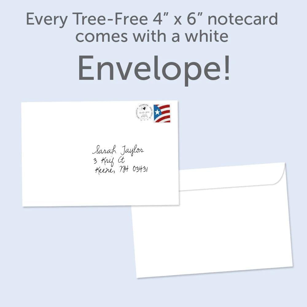 Tree-Free Greetings Econotes 12 Count Texas Flag All Occasion Notecard Set with Envelopes, 4 X 6 Inches (FS56284)