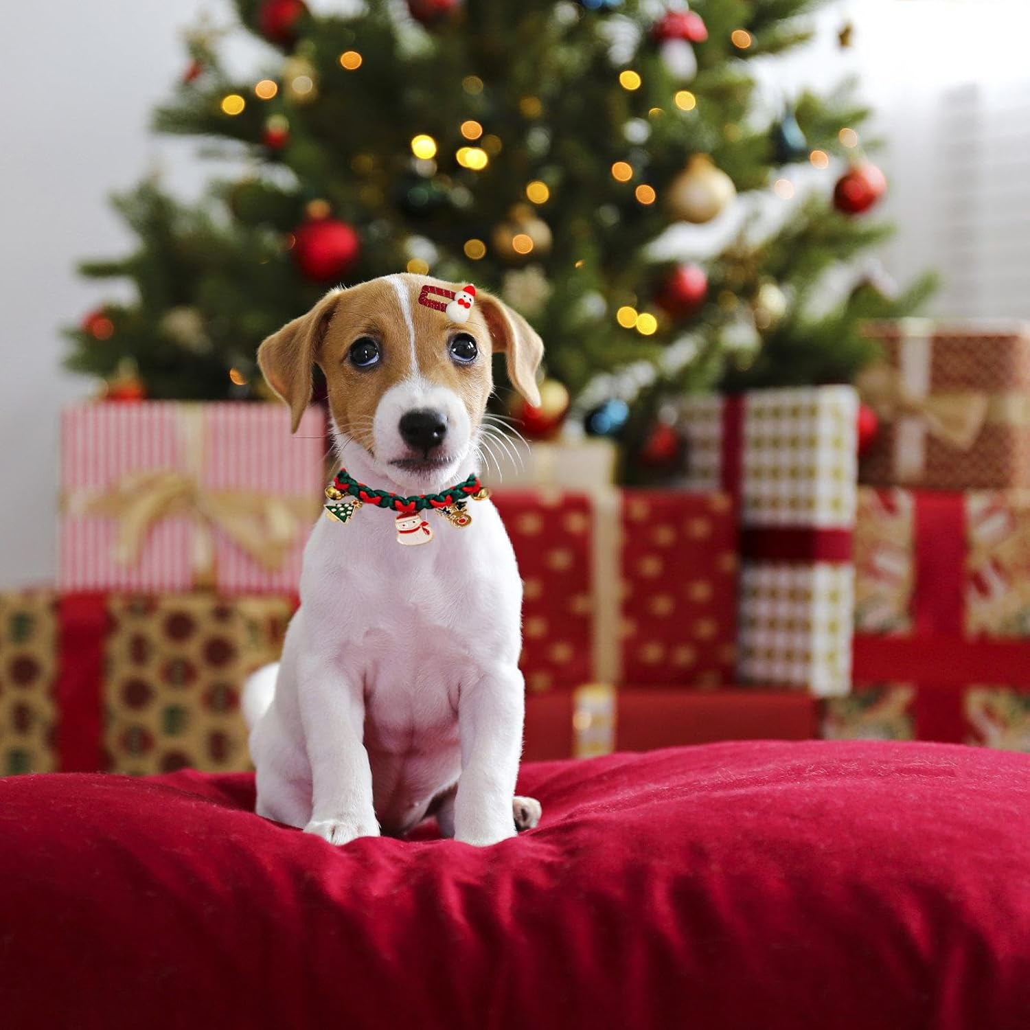 Christmas Adjustable Cat Collar,Christmas Handmade Woven Dog Cat Collar with Bell,Christmas Pet Collar and Hair Clip Ornaments for Small,Medium Cat Dog Christmas Party Accessories (B) image number 3