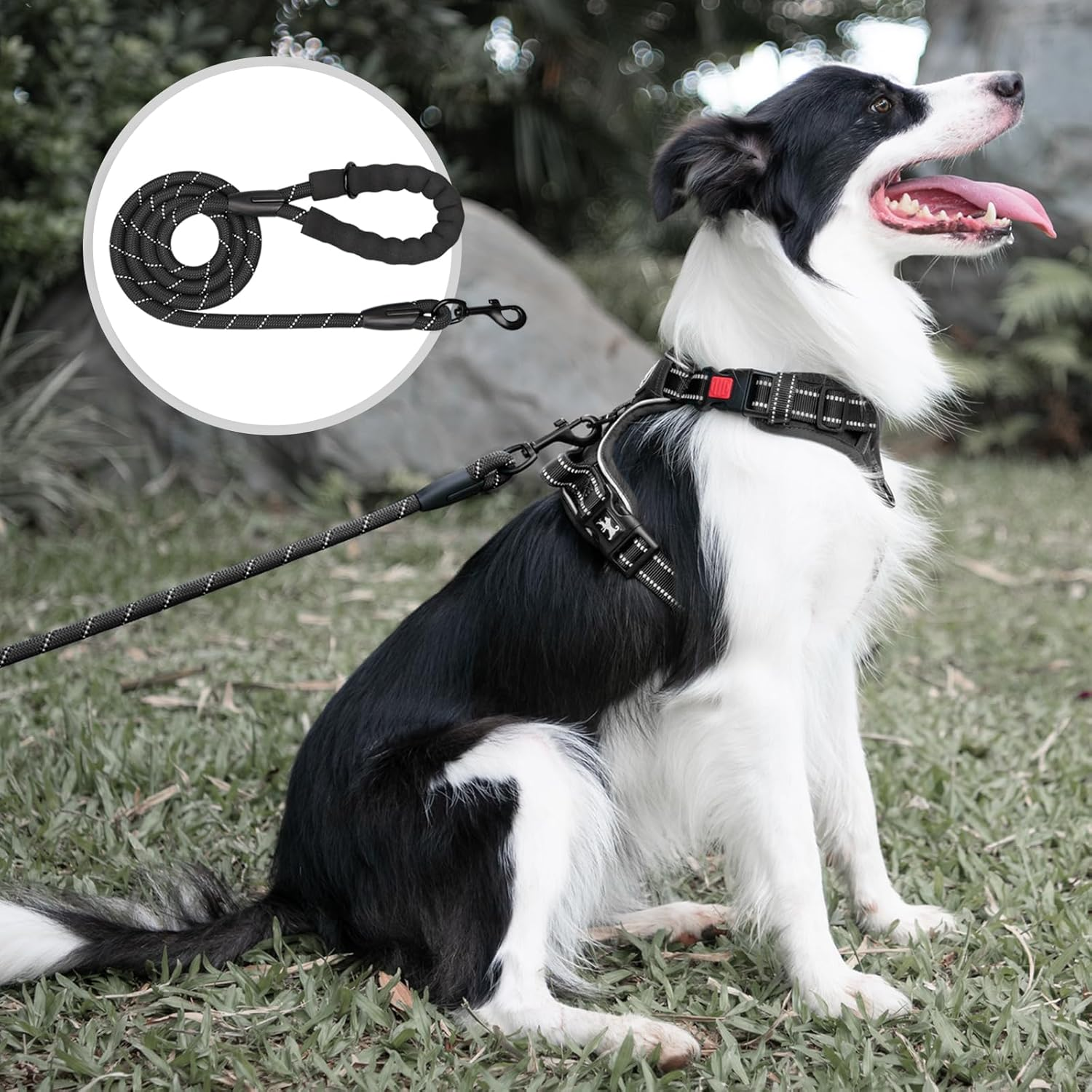 Poypet Dog Leash 5 Feet for Small Medium and Large Dogs Reflective Heavy Duty Padded Rubber Handle 360&deg; No Tangles（Black） - Military Green image number 6