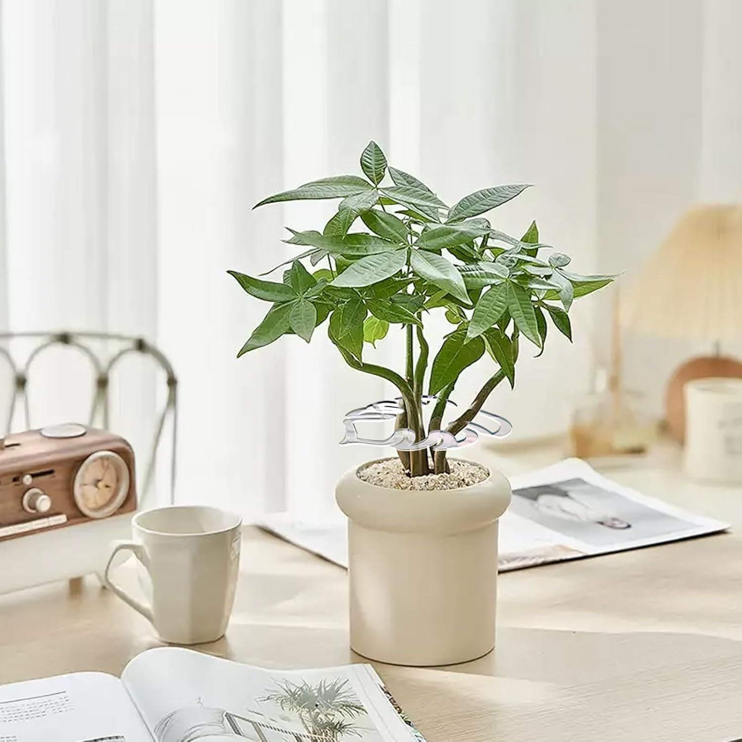 2PCS Monstera Plant Support for Growing Plants, Plant Life Support,Indoor Plant Stakes,Monstera Moss Pole,Leaf Plant Growth Accessories for Indoor & Outdoor Plants,Acrylic Plant Support Ring image number 2