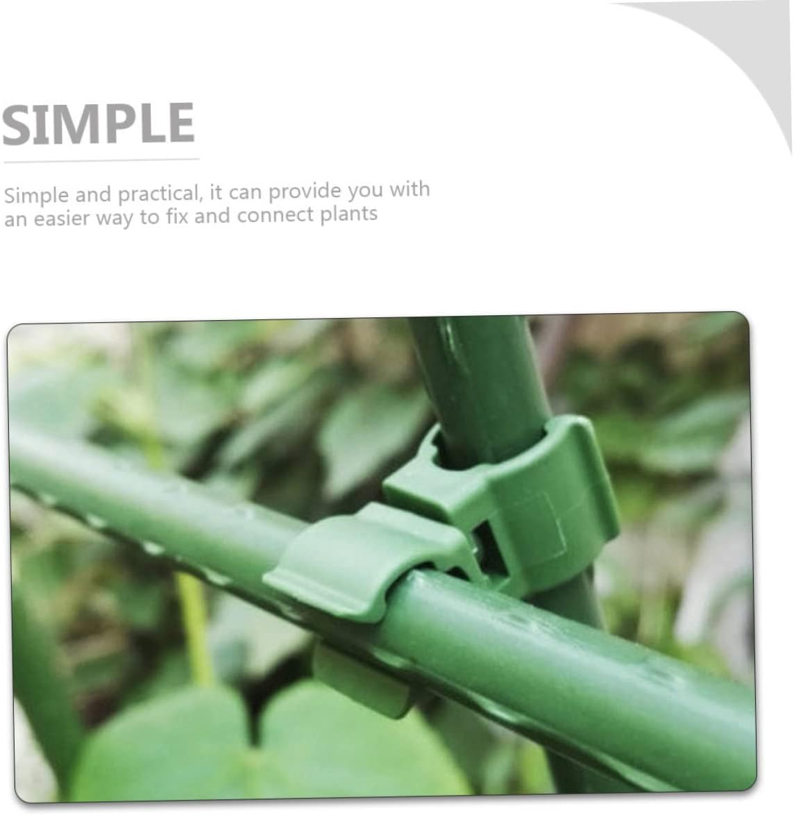 MOBUTOFU 50Pcs Sturdy Gardening Stand Accessories Clips Flower Rattan Buckle for Garden Vine Climber