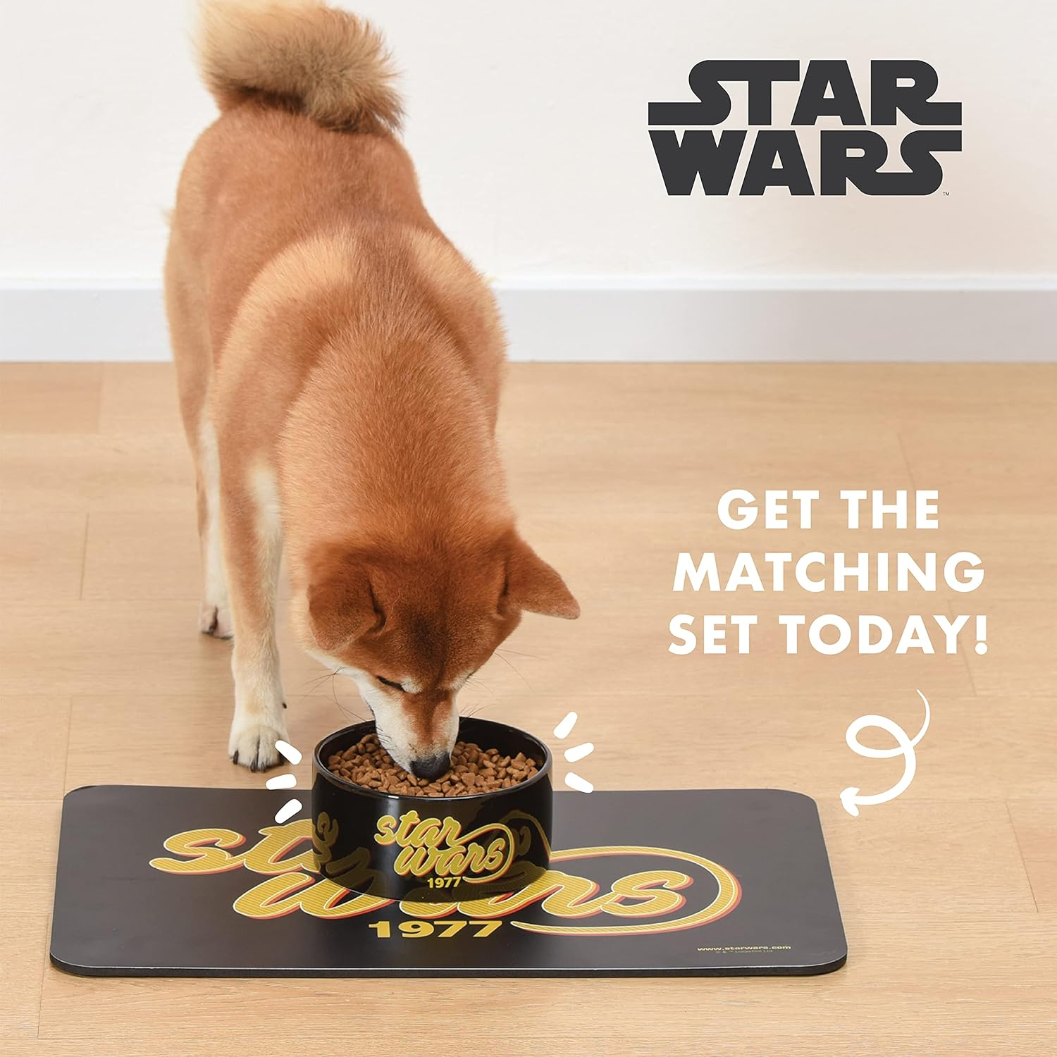 Star Wars 1977 Logo Dog Bowl, 6 Inch | Star Wars Dog Food Bowl Holds up to 3.5 Water, Dry Food, or Wet Food image number 5