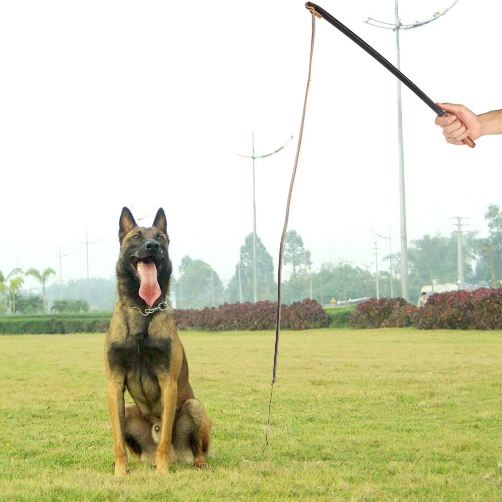 Dog Whip Pet Training Stick, Durable Leather Dog Training Whip, Dog Teaser Wand Outdoor Playing, Foster Discipline and Behavior for Medium Large Dogs image number 3