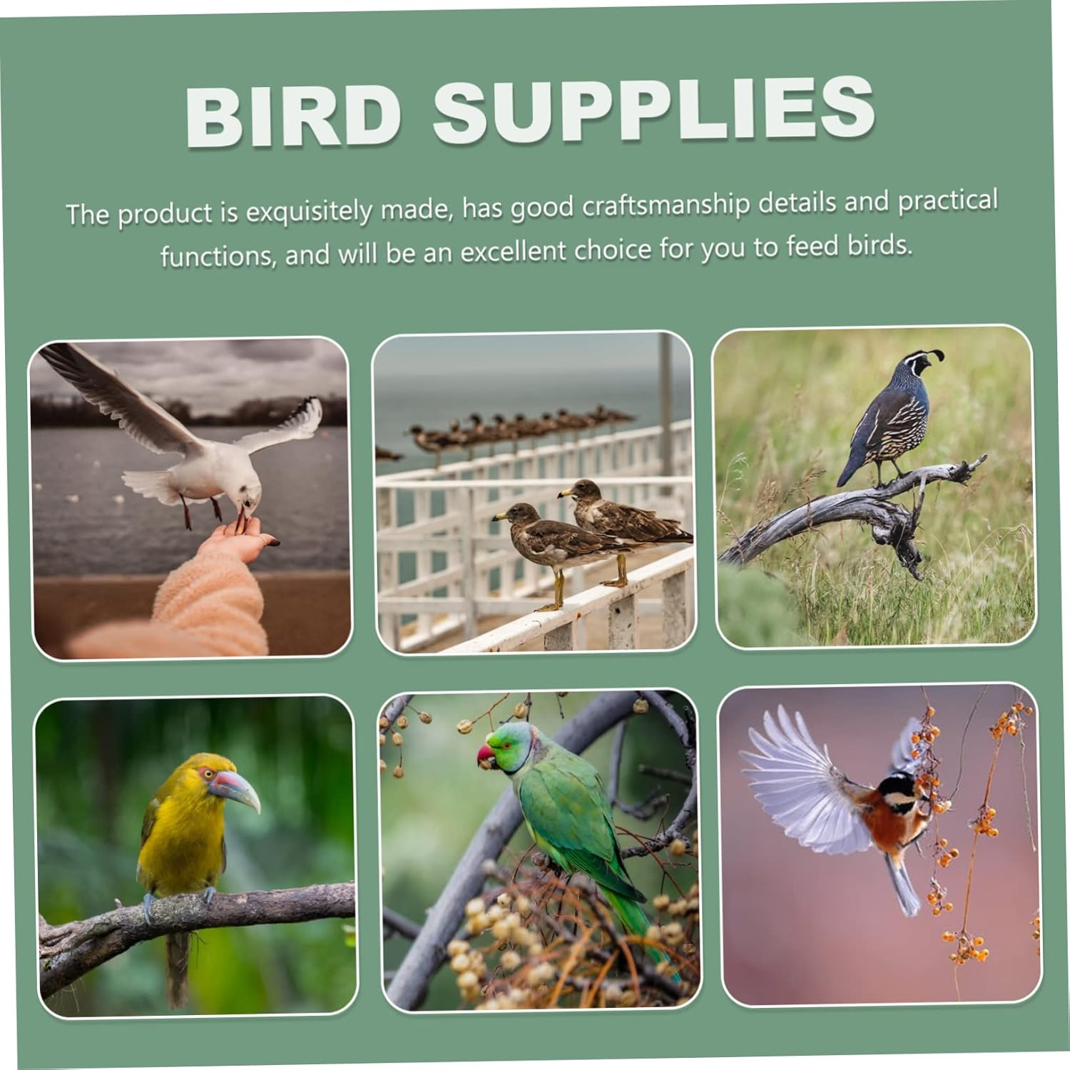 Kisangel 2Pcs Semicircle Bird Food Bowl Trough Thickened Bird Cage Accessory(Transparent) image number 4