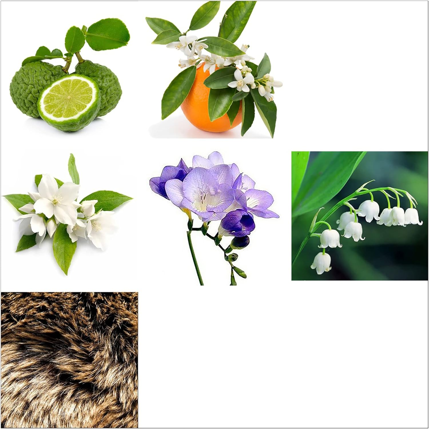 Rachel Zoe Instinct Eau De Parfum Spray, Woody Floral, 100 Ml image number 5