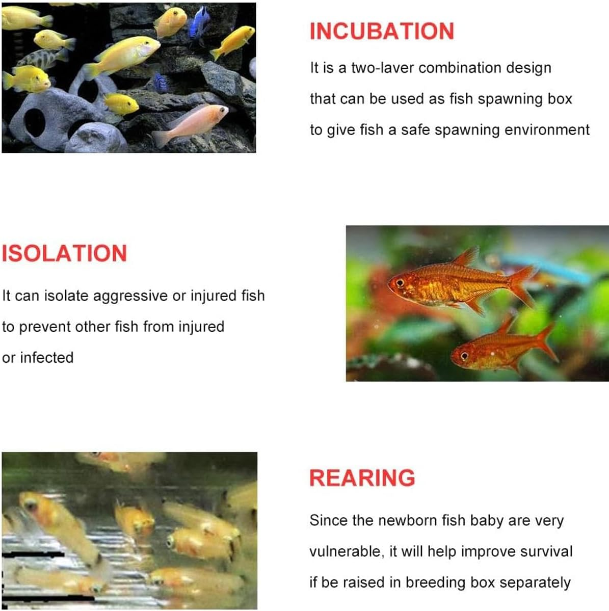 AIMALL External Aquarium Breeding Box &ndash; Transparent Isolation and Hatching Box with Pneumatic Function, Suitable for Guppies and Small Fish, Dimensions 6.3 X 4.72 X 5.12 Inches image number 5