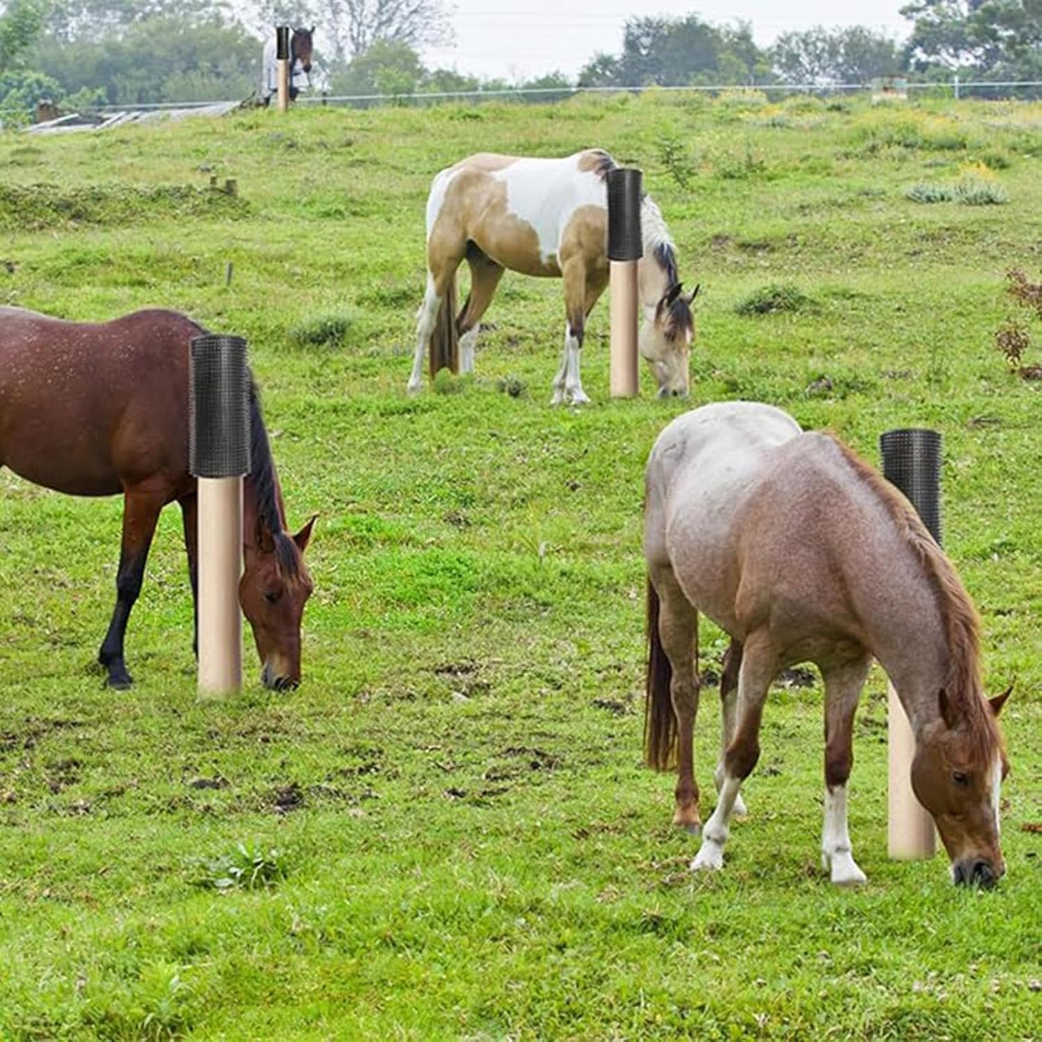 Livestock Brushes for Scratching Post | Soft Touch Livestock Scratch Mat | Sheep Grooming Brushes Itch Relief Soft Touch Mat for Farm Animals image number 6