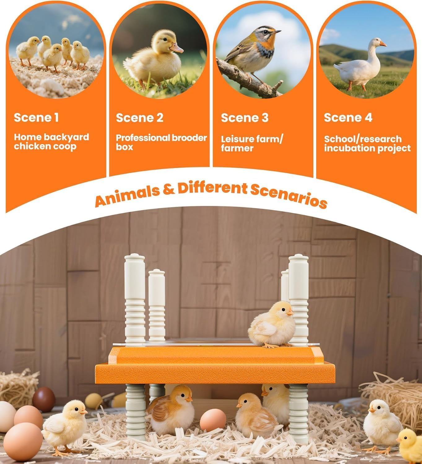 Brooder Heater for Chicks, 25 * 25Cm for 15 Chicks Heating Plate with Adjustable Height and Angle 15W Chicken Brooder Warm like Mother Hen (Orange, 25CM) image number 2