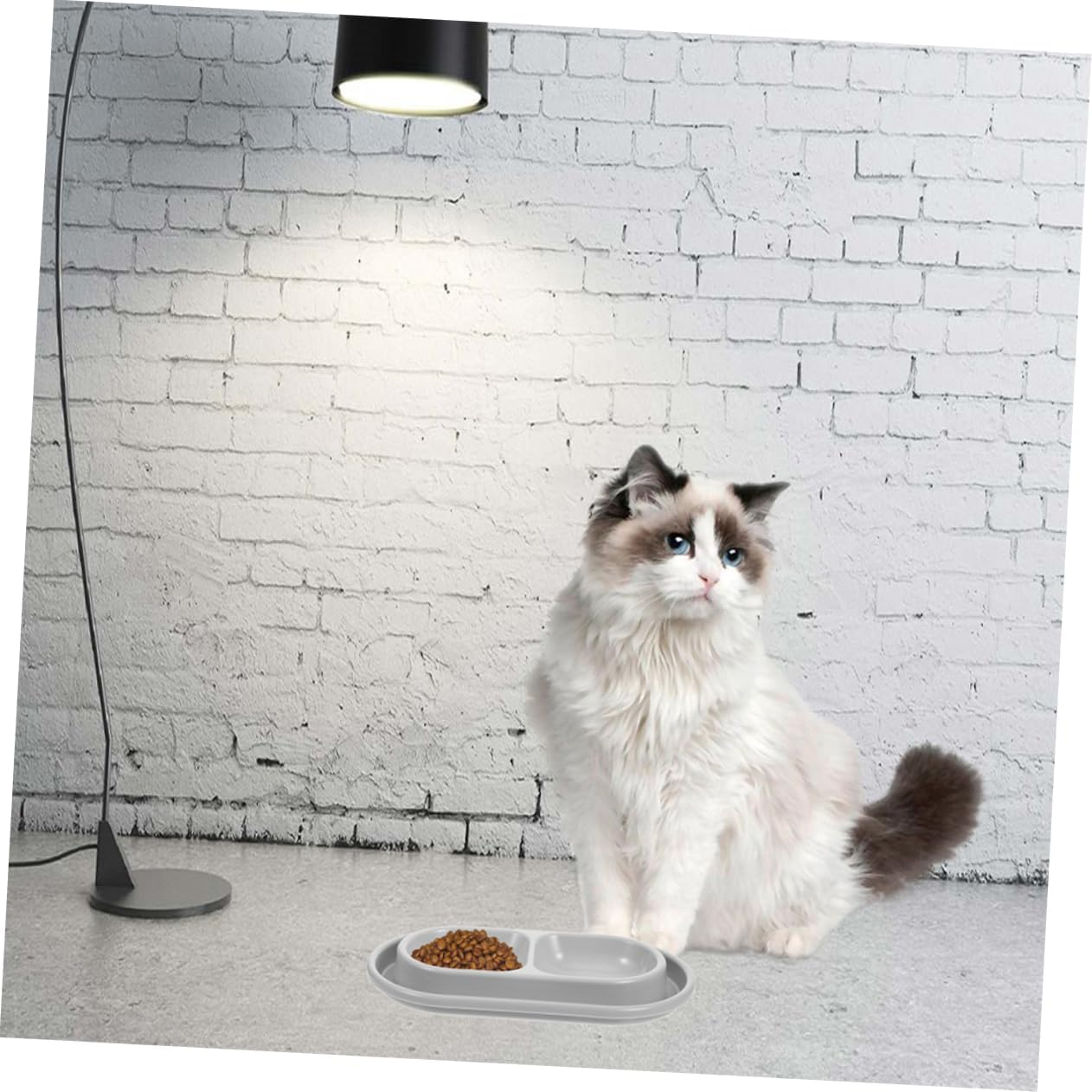 VANZACK PET Feeding Bowls Double Ant-Proof Cat Dog Water Dish Outdoor Dual Compartment Feeder Grey for Small Dogs image number 5