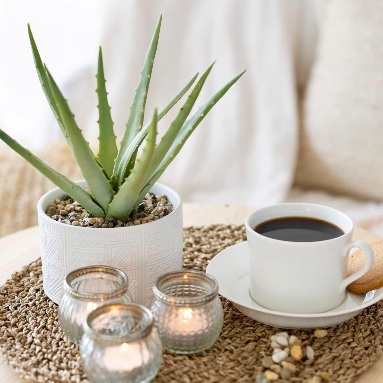 Artificial Plant in White Ceramic Pot | 10" High Faux Agave Plant in White Pot | Fake Plant for Desk Decor | Artificial Agave for Home Decor Indoor | Artificial Succulent for Shelf Decor image number 5