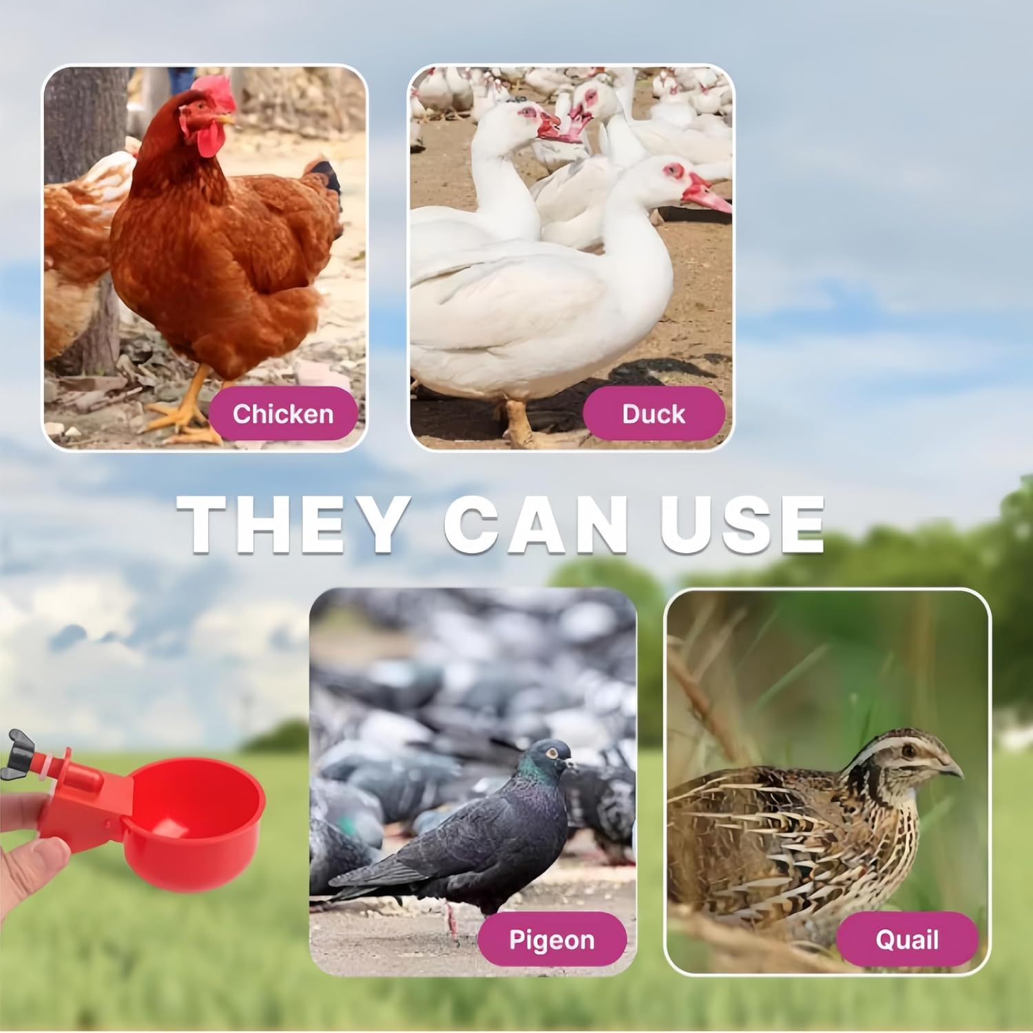 10 Pack Automatic Chicken Waterer Cups Poultry Drinker Kit for Chickens, Ducks, Turkeys Self-Filling Water Feeder with Drill Bit for Buckets, Barrels No Spill, Low Maintenance image number 6