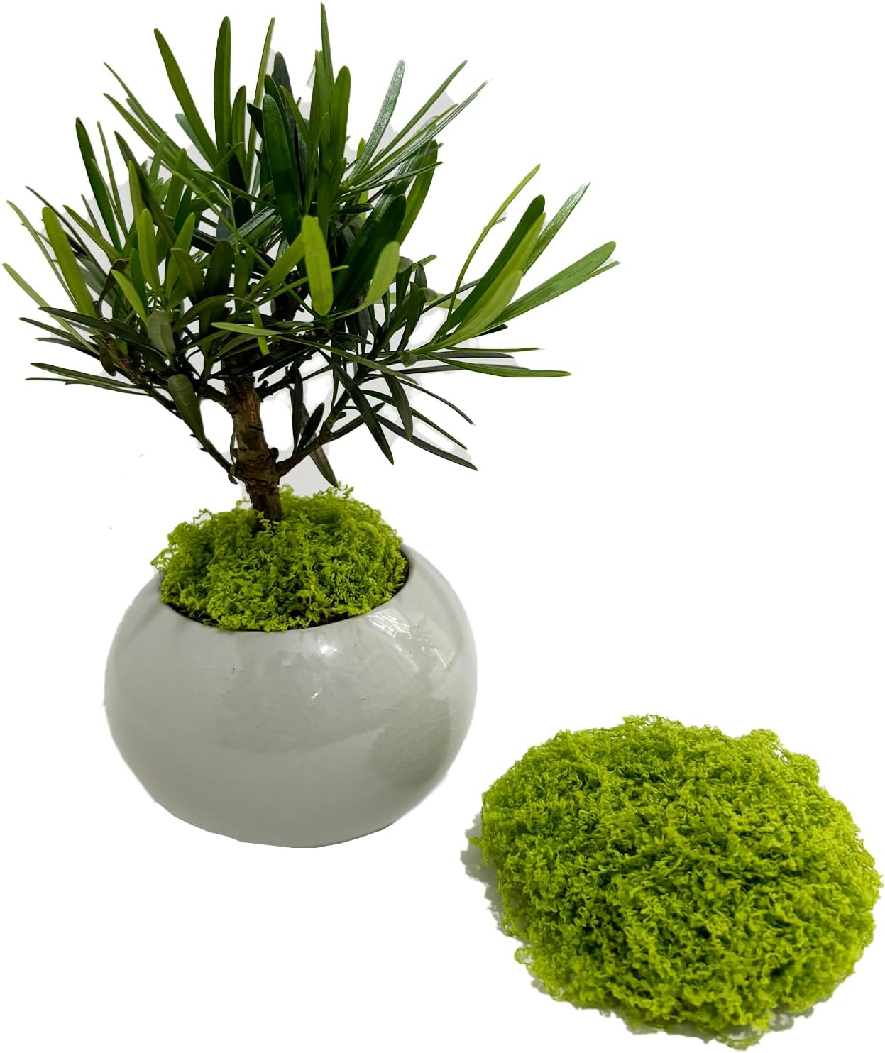 500G Artificial Moss Soft Breathable Fake Moss for Indoor Plants Natural Green Eco-Friendly Faux Moss for Planters Musgo Artificial Para Macetas Decorative Garden Landscaping Supplies image number 1