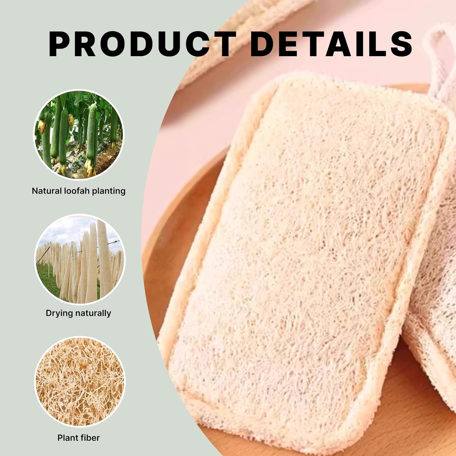 2 PCS Natural Loofah Sponges, Eco-Friendly Exfoliating Shower and Kitchen Cleaning Sponges for Skin Care, Bath Spa, Soft Touch, Multi-Purpose Organic Cleaning for Children and Adults image number 5