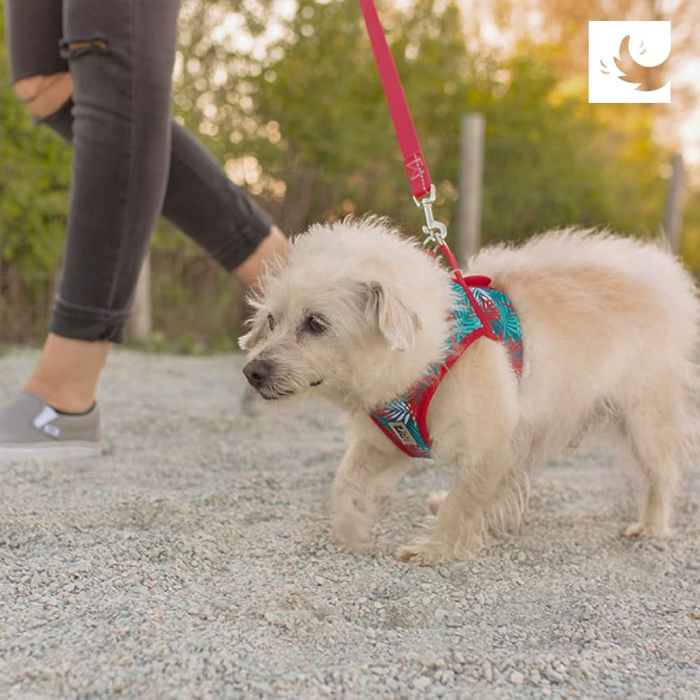 RC Pet Products Cirque Soft Walking Step-In Dog Harness, Small, Tan Tartan image number 1