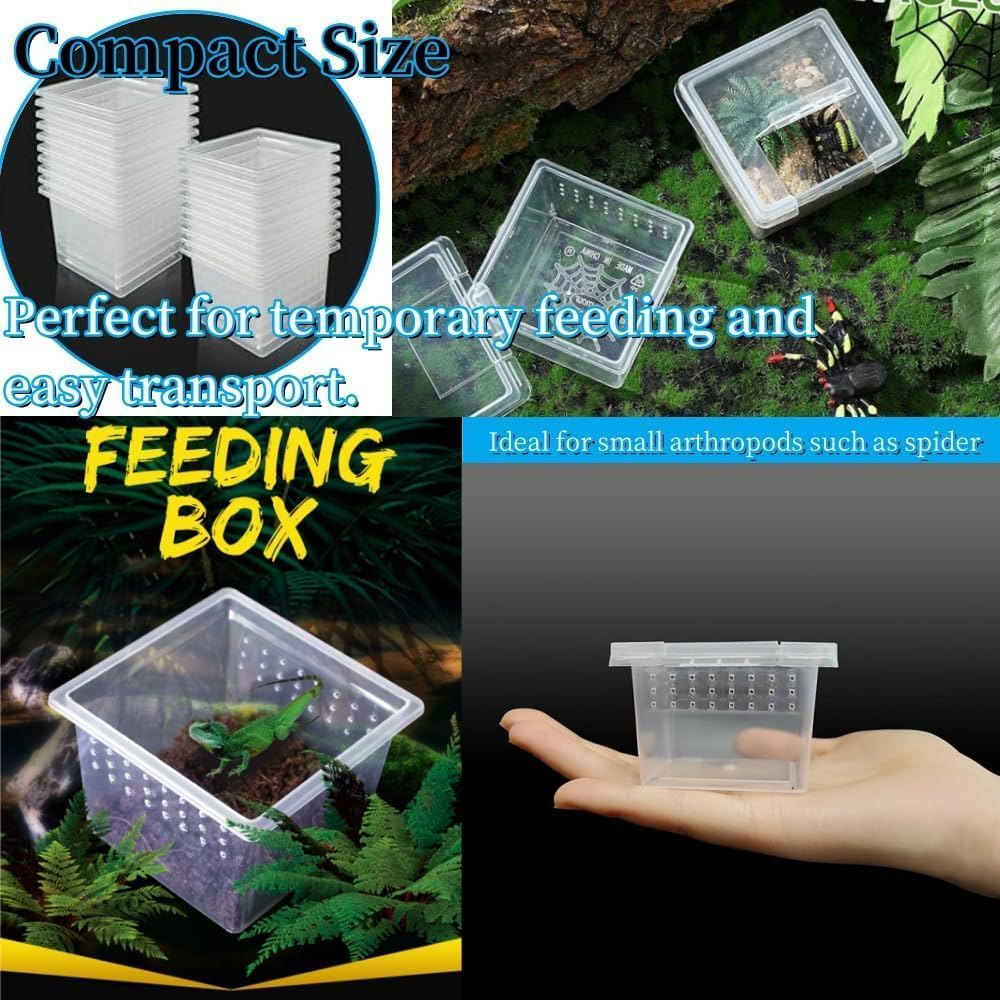 20 Pcs Tarantula Enclosure Insect Spider Terrariums Breeding Box,Insect Spider Terrariums Breeding Box,Small Reptile Arboreal Spider Mantis Scorpion Centipede Breeding Box Breeding Cage with Lid