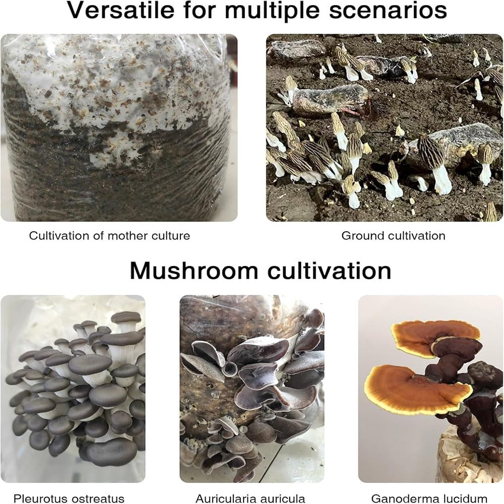 Lyhaogao 25 Pcs Small Mushroom Transparent Grow Bags with Breathable Membrane,Space Efficient Indoor Gardening Cultivation Supplies for Optimal Airflow and Healthy Mushroom Growth image number 2