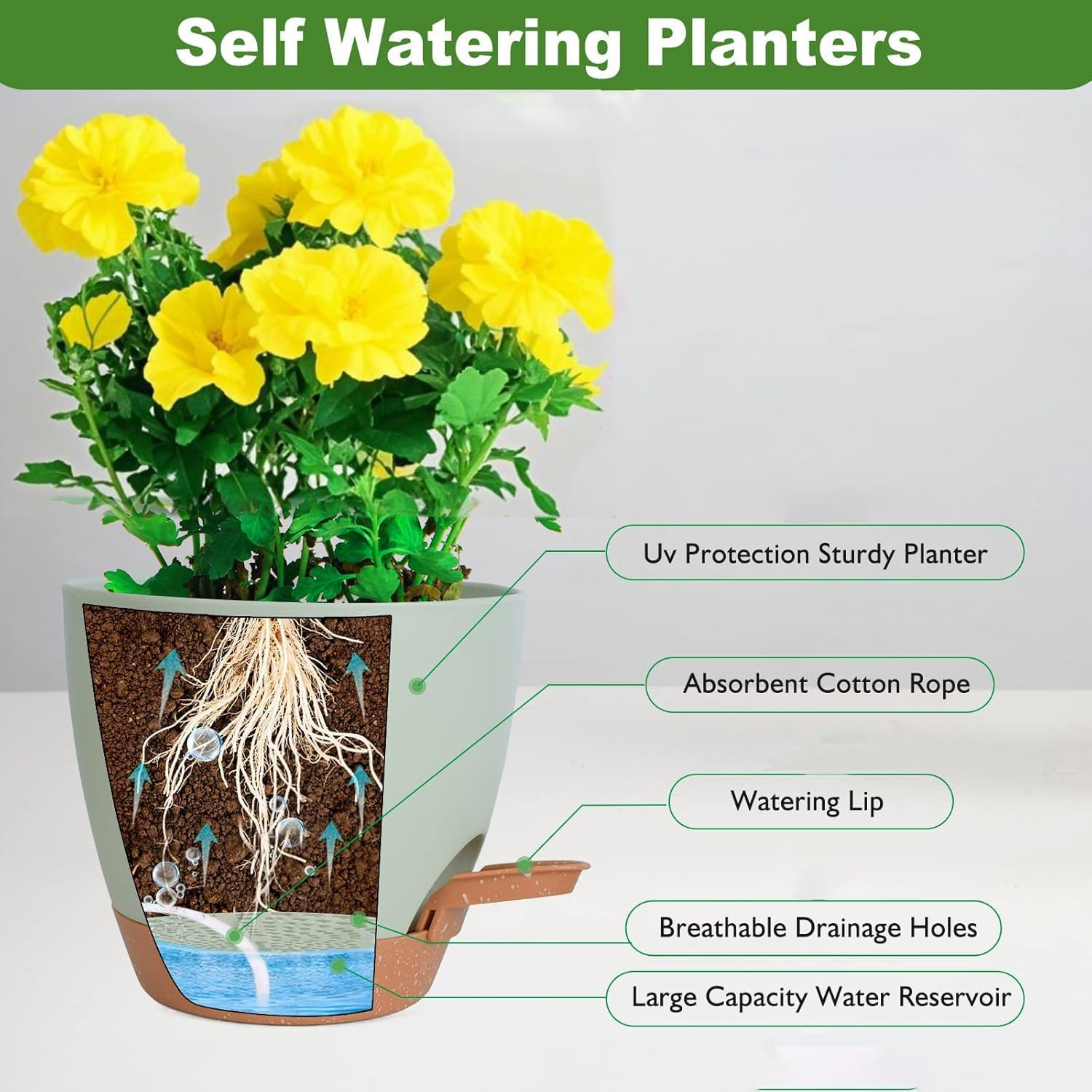 2 Pack 12 Inch Self Watering Plant Pots with Drainage Holes, Uv-Resistant Plastic Planters for Indoor Outdoor Plants, Modern Flower Pots with Tray (White) - White image number 2