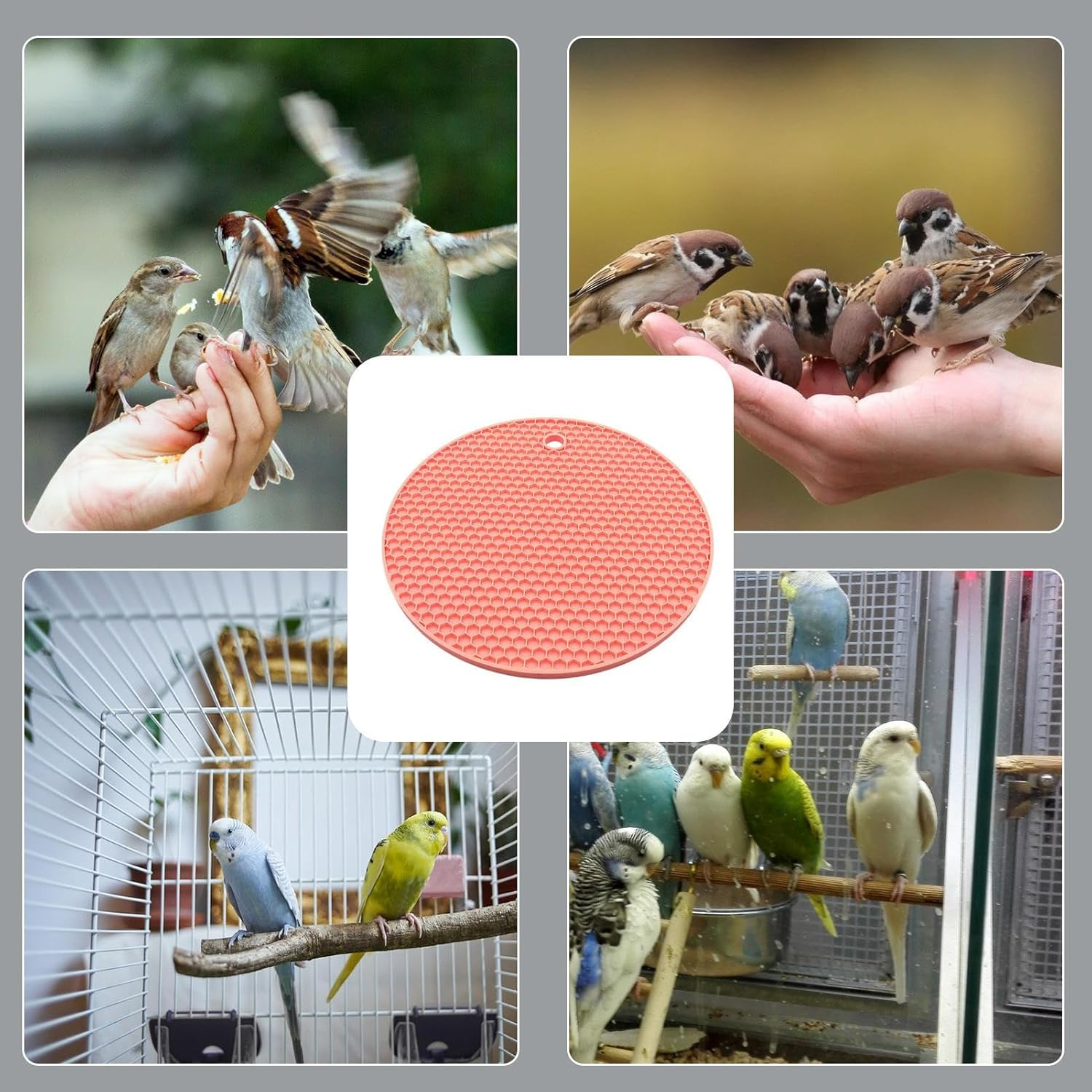 Shurzzesj Slow Feeding Puzzle for Bird,Parrots Slow Feeding Silicone Mat - Pet Parrot Food Slow Eating Mat for African Grey Parrots, Conures and Budgies image number 1