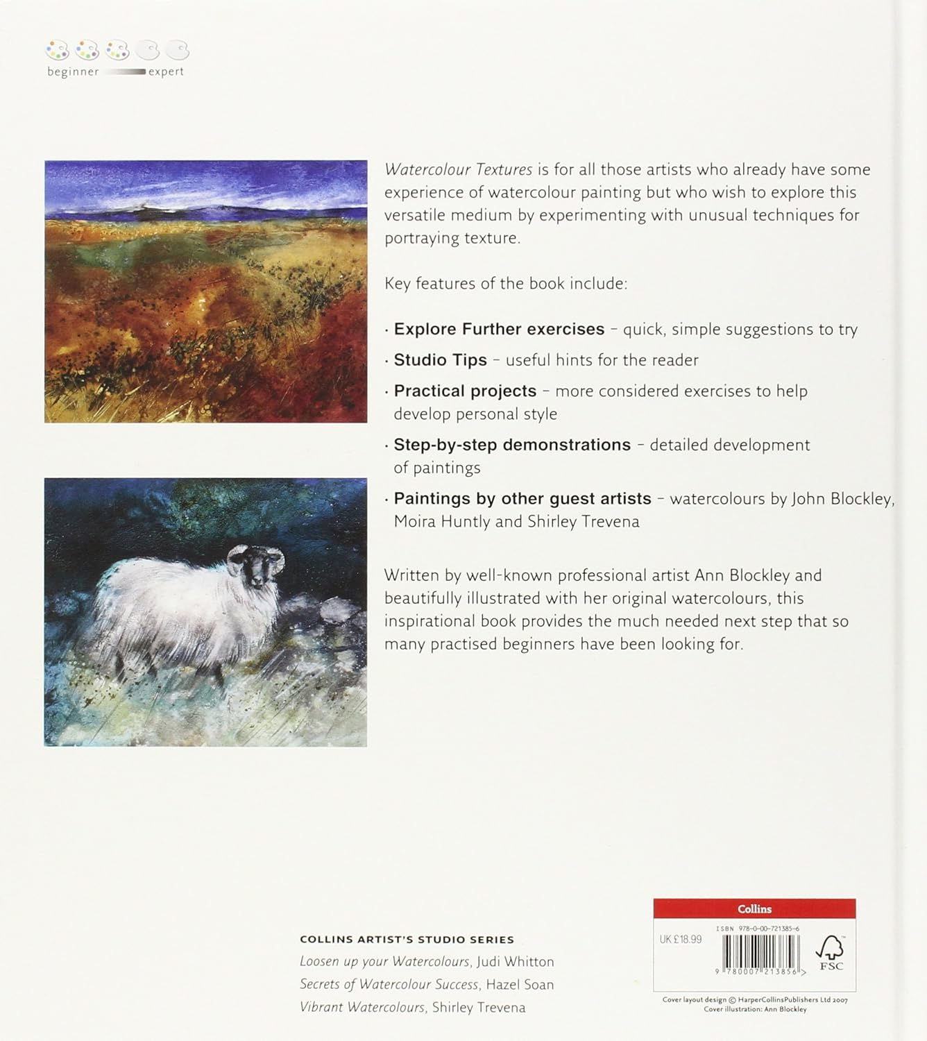 Watercolour Textures (Collins Artist&rsquo;S Studio)