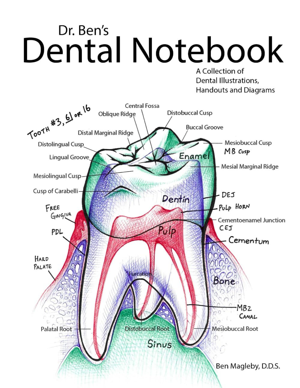 Dr. Ben'S Dental Notebook: a Collection of Dental Illustrations, Handouts and Diagrams image number 1
