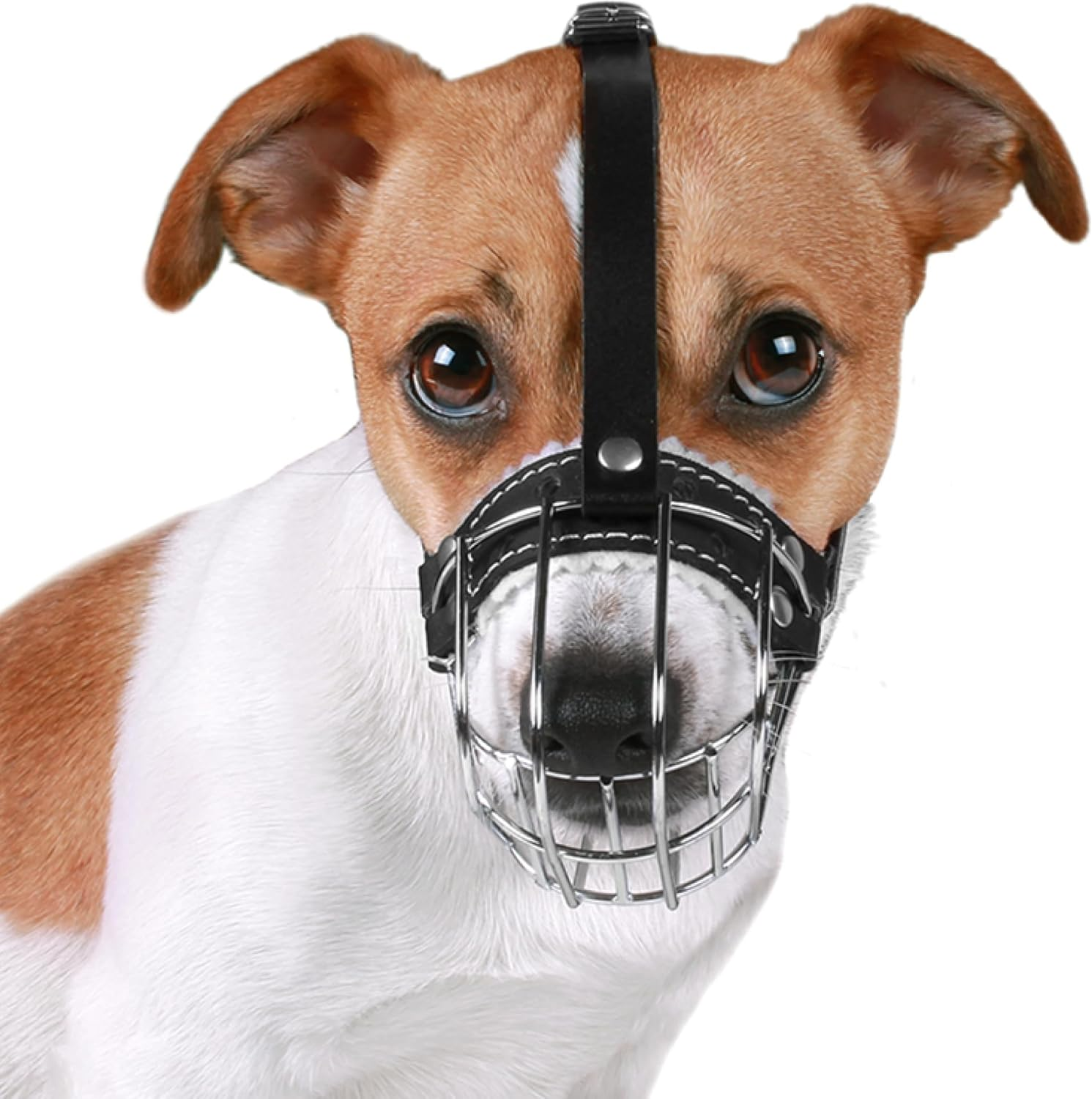 Bronzedog Wire Basket Dog Muzzle Jack Russell Terrier Metal Leather Adjustable Puppy Small (2XS) image number 1