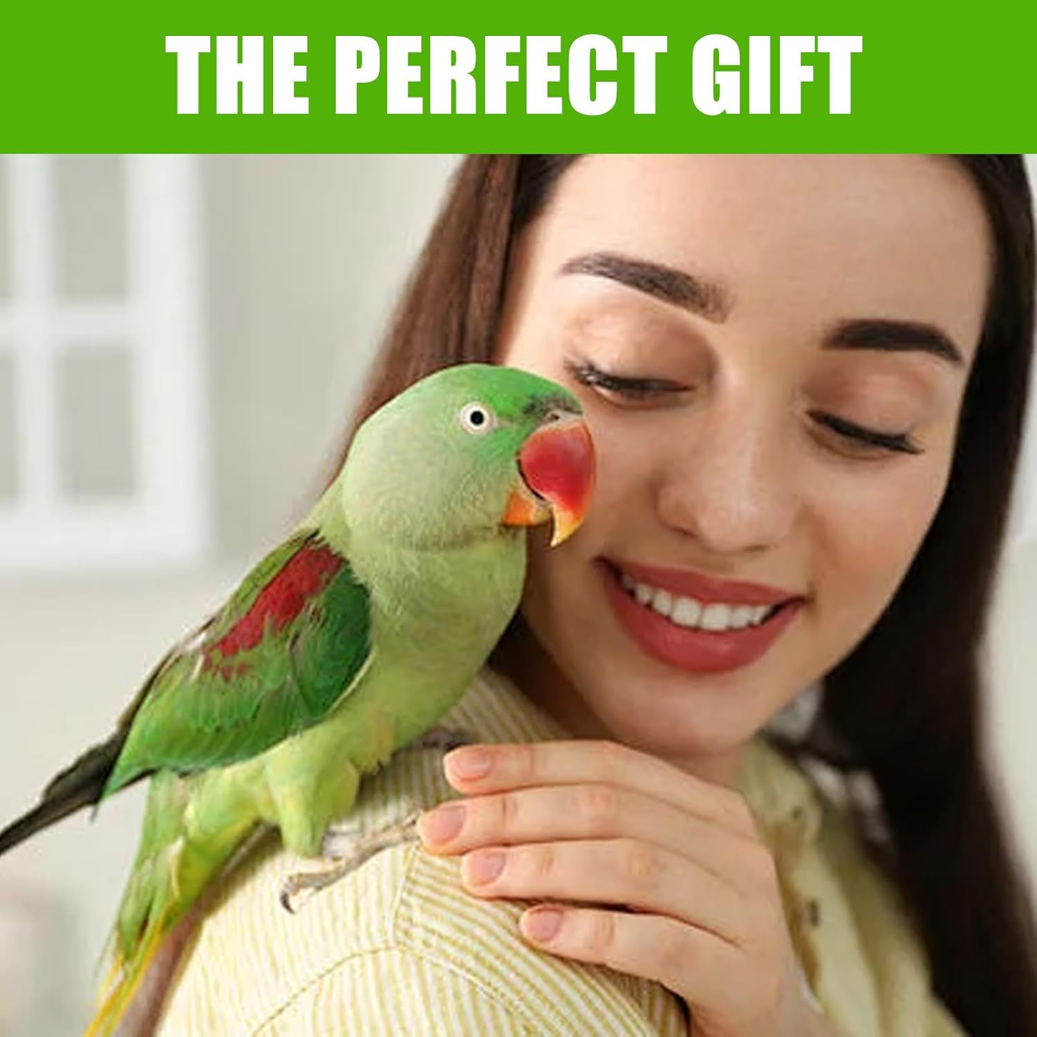 Bird Transport Box with Wooden Rod and Tray, Bird Carrier for Budgies/Parakeets/Small Animals, Portable Bird Carrier 19 X 26 X 19 Cm