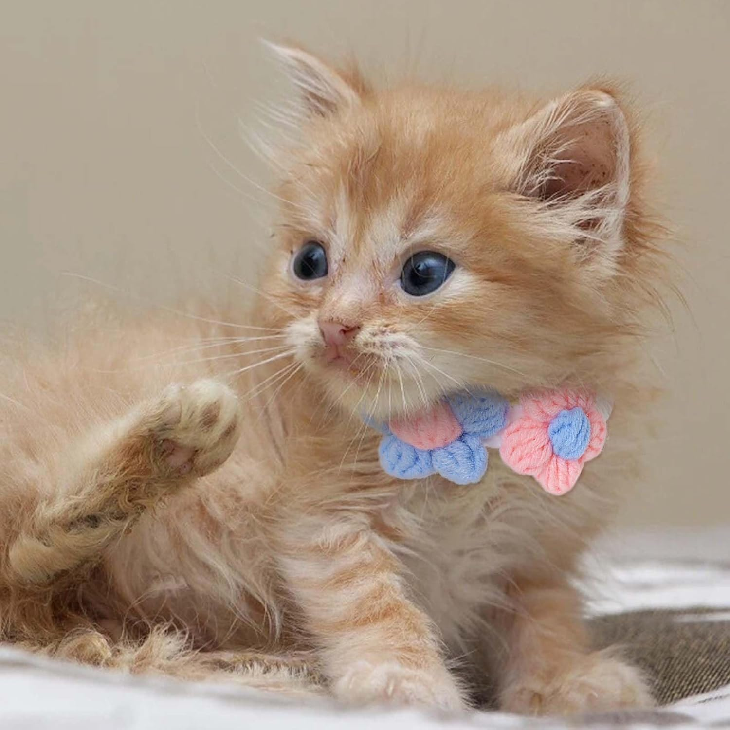 Campsis Floral Cat Collars Adjustable Tie Cat Colllar Knitted Kitten Collar for Pet Cats image number 6