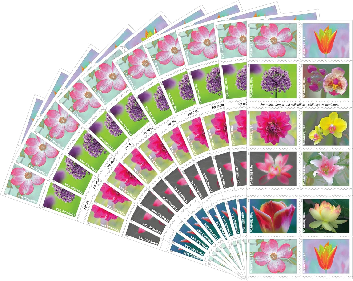 Garden Beauty Forever Postage Stamps 10 Books of 20 US Postal First Class Wedding Celebration Anniversary Flowers Party(200 Stamps) image number 1
