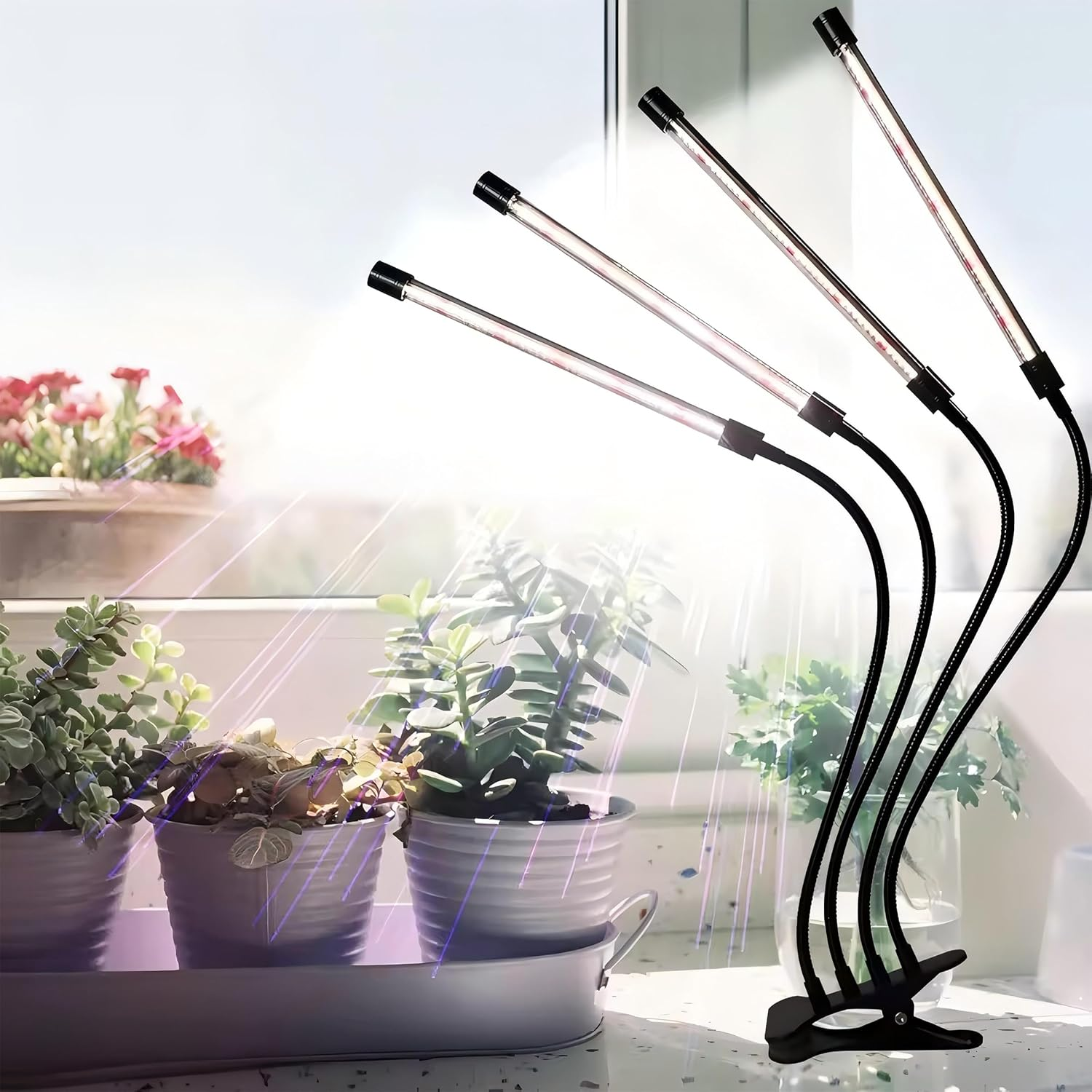 168 LED 6500K Full Spectrum Grow Light with Adjustable Clip - Energy Efficient Plant Growing Lamp for Indoor Plants, Herbs & Succulents(With AU Adapter) (4 Lamps)