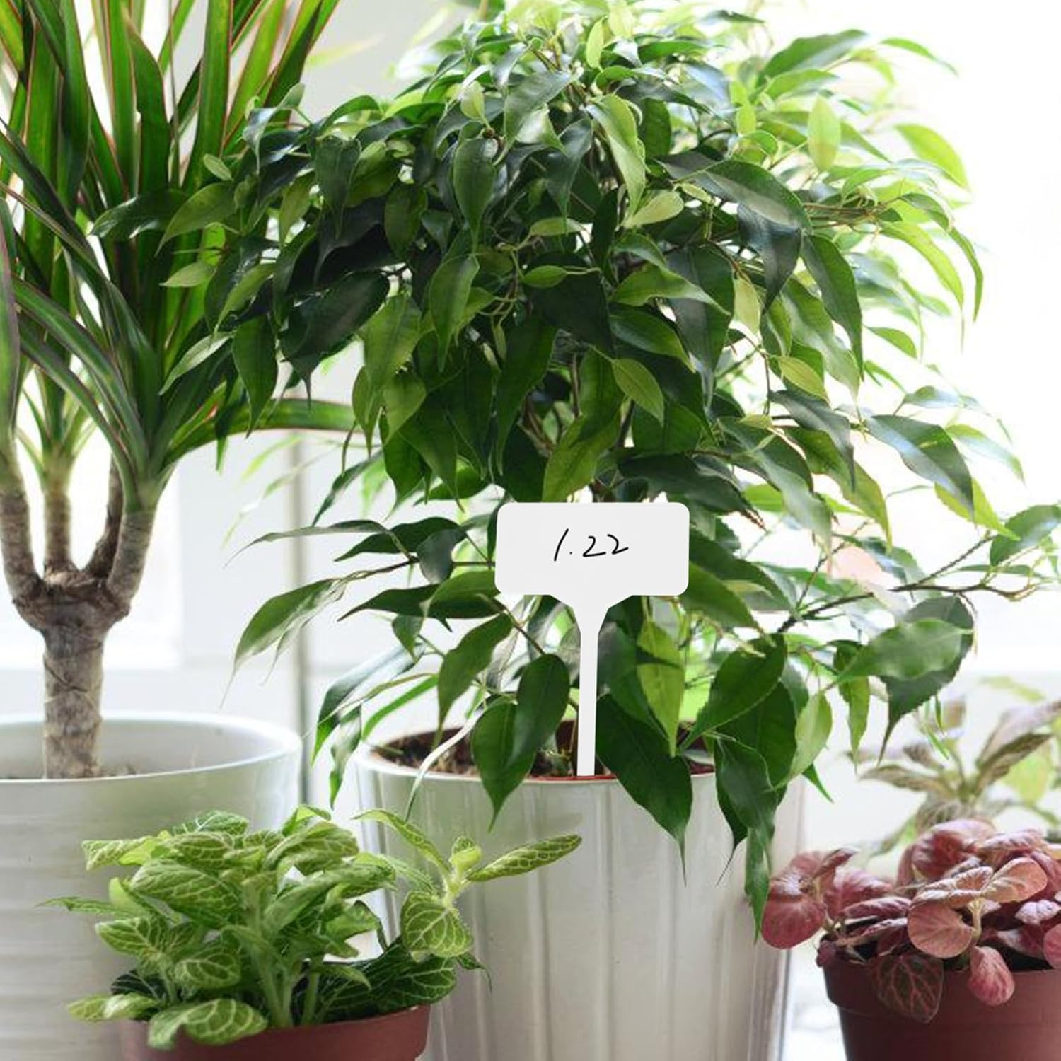 SUPVOX 50Pcs Shape Plant Labels Reusable Garden Markers Double-Sided Writable Tags for Plant Identification and Gardening Tools for Home and Garden Use