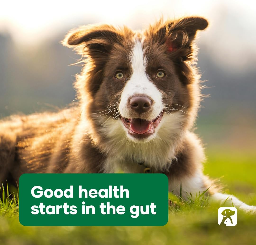 Natural Animal Solutions Probiotics for Dogs and Cats. Dog Probiotics for Digestive Health, Support Cat and Dog Gut Health & Immunity Health,150G image number 1