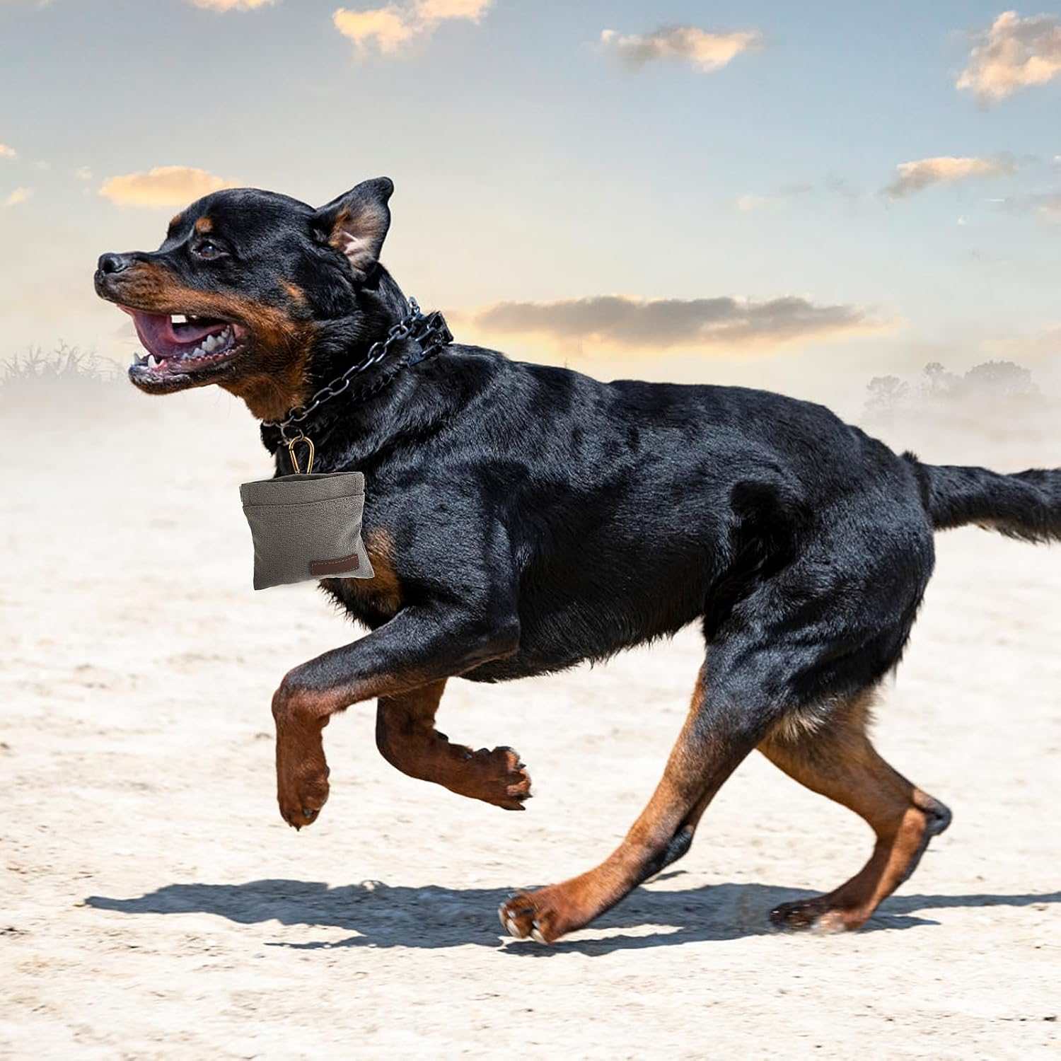 Jeffdad Treat Bag for Dogs, Hands-Free Food Bag Dog Training with Carabiner Hands-Free Dog Treat Bag with Automatic Closure Puppy Treat Bag for Dog Training (Grey) image number 6