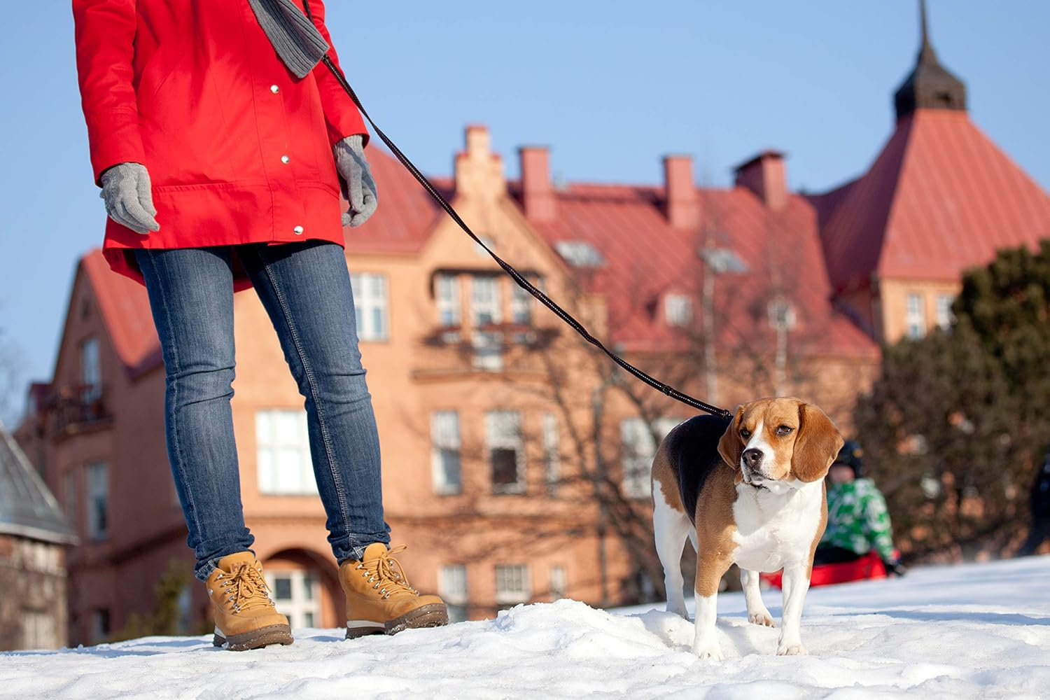 EZYDOG Vario 6 Light Black, for Ultra-Small and Medium Dogs, 78.7 Inches (200 Cm) - Bubblegum image number 2