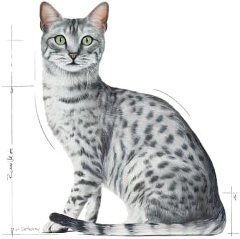 Royal Canin Indoor Sterilised Adult in Gravy Pouches Wet Cat Food 85 GMS 12 Pack image number 2