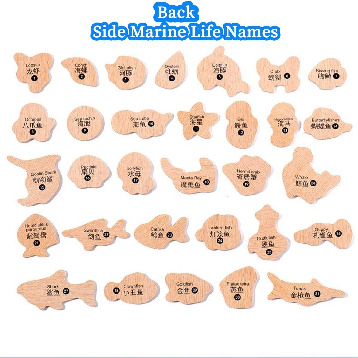 Magnetic Fishing Game Toddler, Wooden Magnetic Fishing Toys, Easy Play Wooden Fishing Toy for Toddlers & Kids, Homeschool Sight Word Educational Toy for Age of 3,4,5,6 Year Old Kids, Boys & Girls (A) image number 1