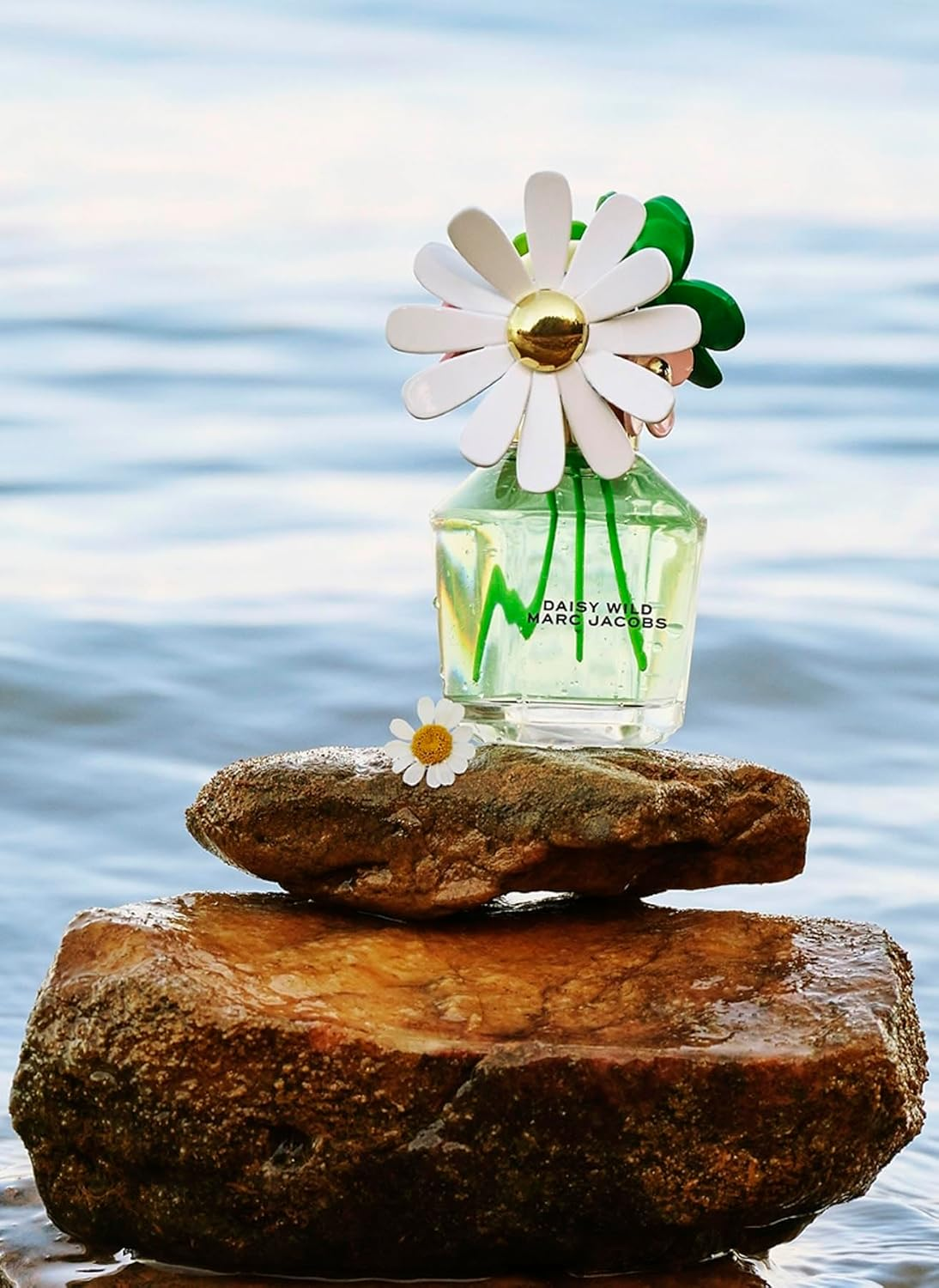 Daisy Wild 50Ml Edp image number 5