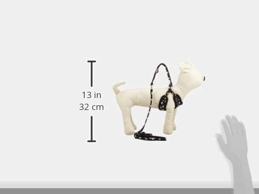 ONS Dot Soft Harness Lead 3S Black (Cat, Ultra Small Dog)