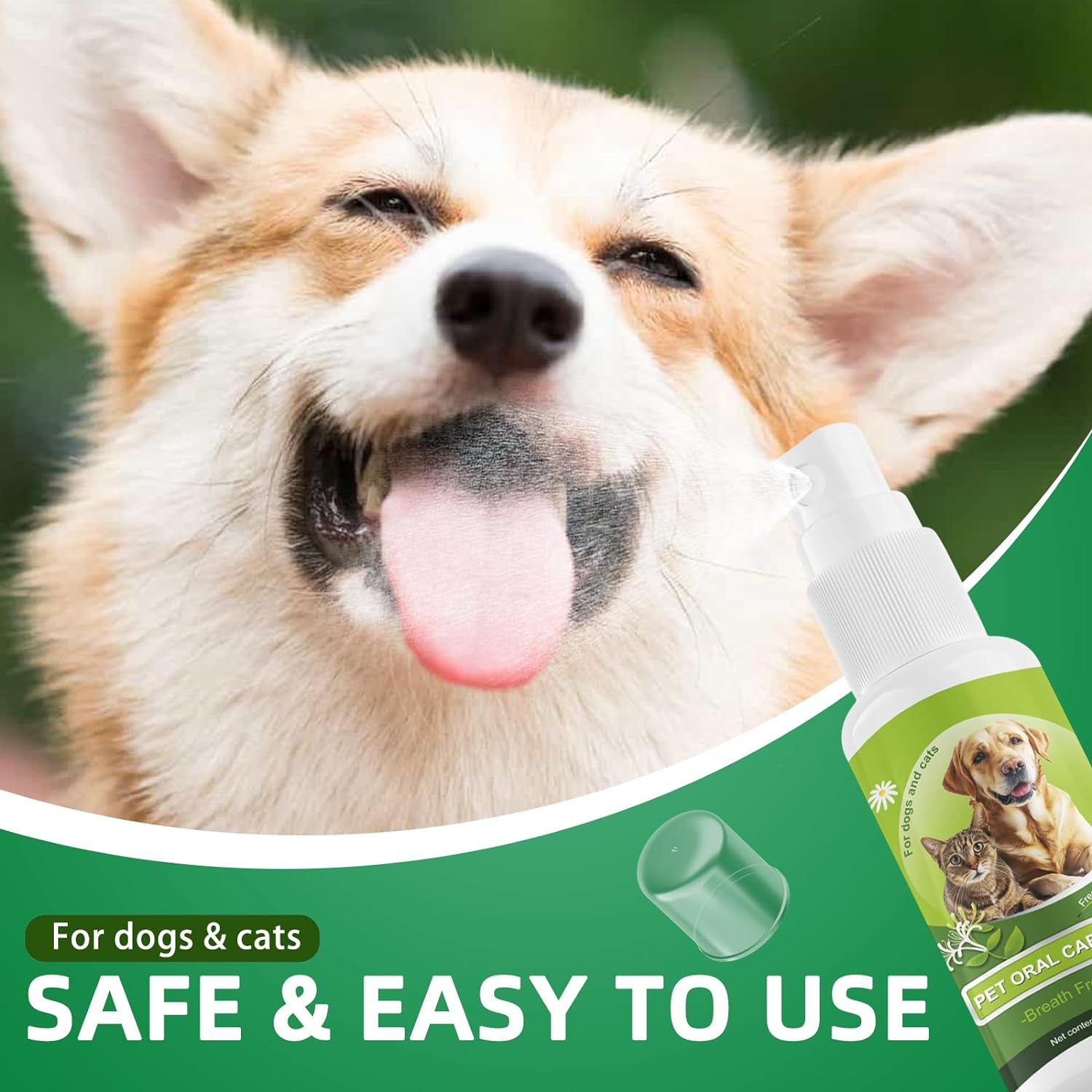 Pet Oral Spray, Oral Hygiene Spray for Dogs and Cats, No Brush Oral Cleaning Mouthwash, Edible Fresh Breath, Oral Deodorant, Cleans Teeth, Teeth Cleaning for Dog and Cat（120Ml/4.06Fl Oz） image number 2