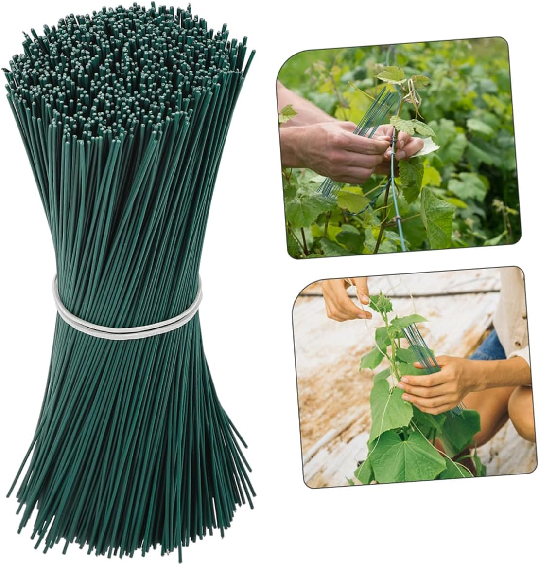 MOBUTOFU Garden Plant Twisted Ties 1000Pcs Binding Iron Wire Garden Tie for Tomato Raspberry Vine Stems 0.55Mm Diameter Plastic Coated Green Wire Straps for Outdoor Plant Support image number 1