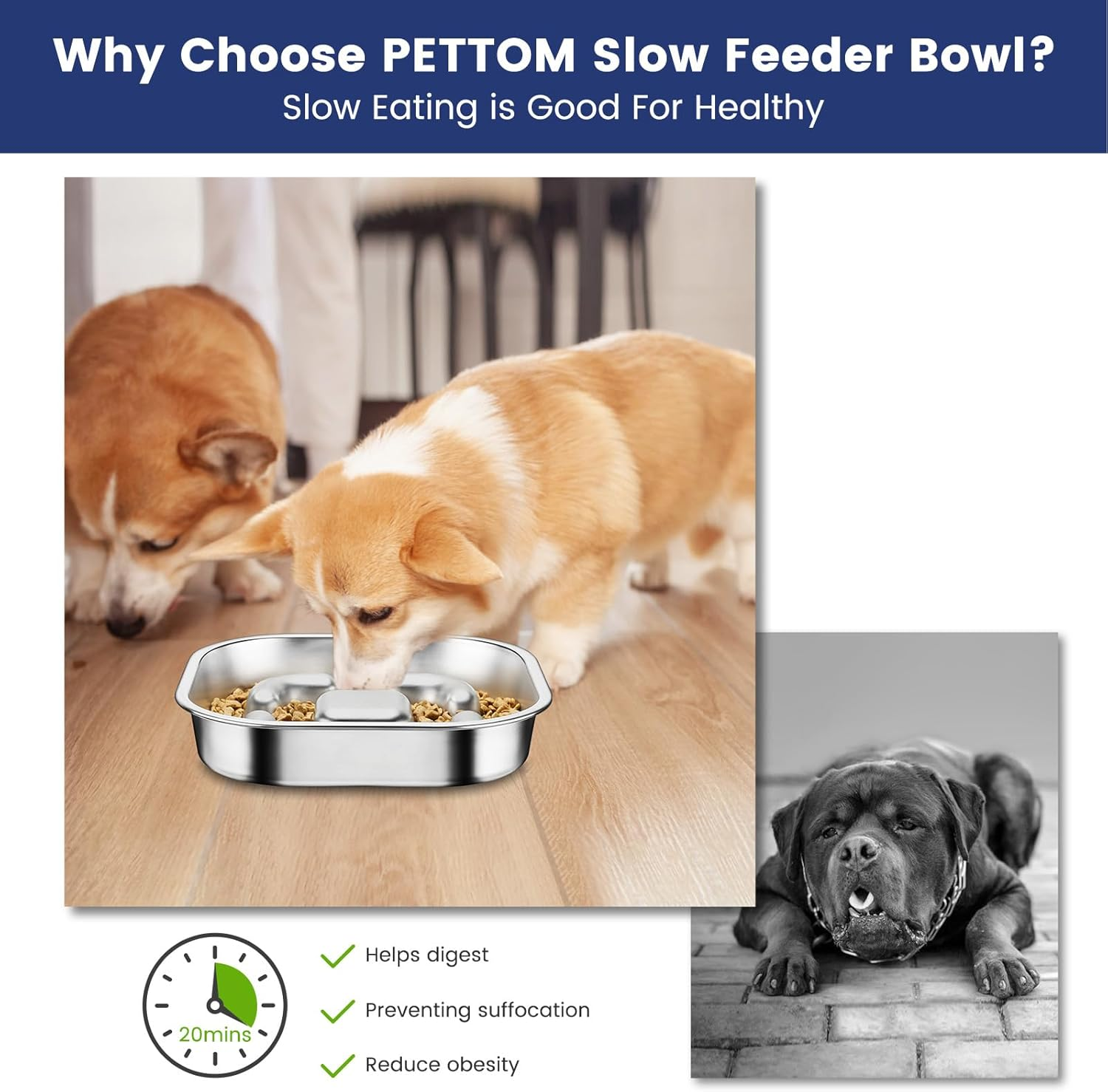 PETTOM Slow Feeder Dog Bowl, Stainless Steel Dog Bowls to Slow down Eating, Puzzle Feeders for Dogs Puppys Stop Bloat anti Gulping Healthy Eating image number 1