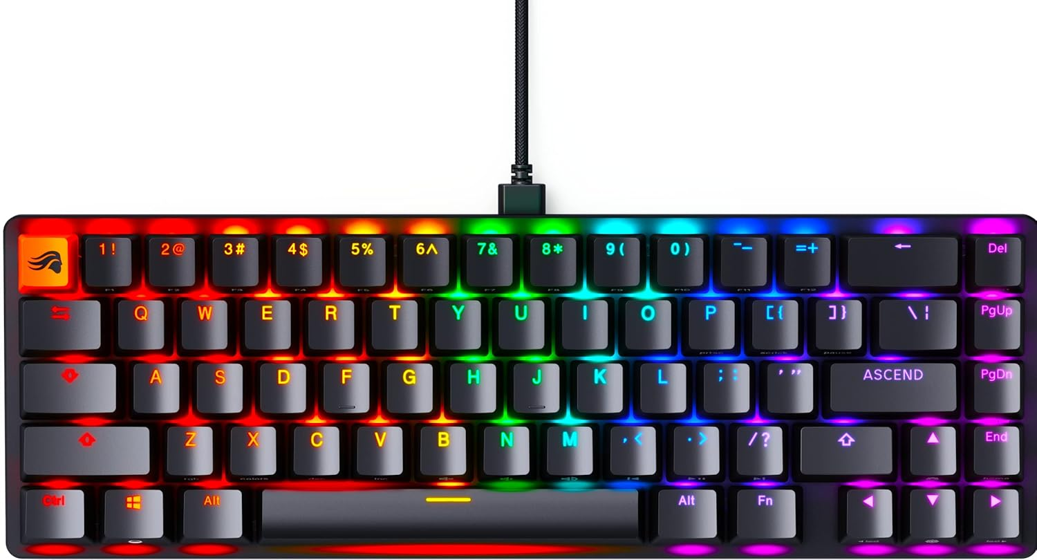 Glorious Gaming Keyboard Mechanical - GMMK 2 - TKL Hot Swappable Mechanical Keyboard, Red Switches, Wired Keyboard, Compact - 65% Percent Keyboard (Black RGB Keyboard) image number 4
