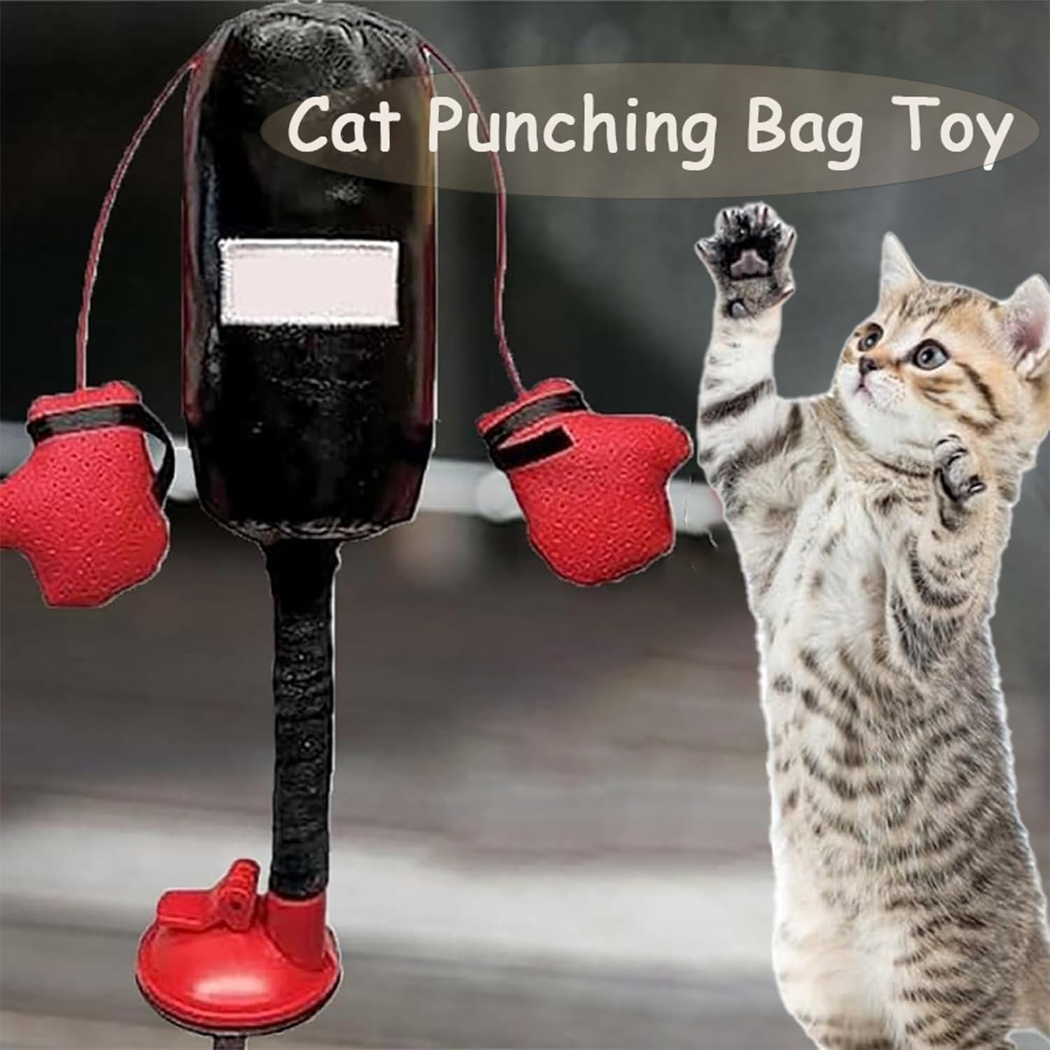Cat Punching Bag Toy, Mini Boxing Punching Bag Cat Toy, Interactive Kitten Toys Punching Bag, Cat Boxing Gloves Toy, Cat Boxing Toy, Punching Bag Play Gym for Kittyweight Champions /1046 image number 1