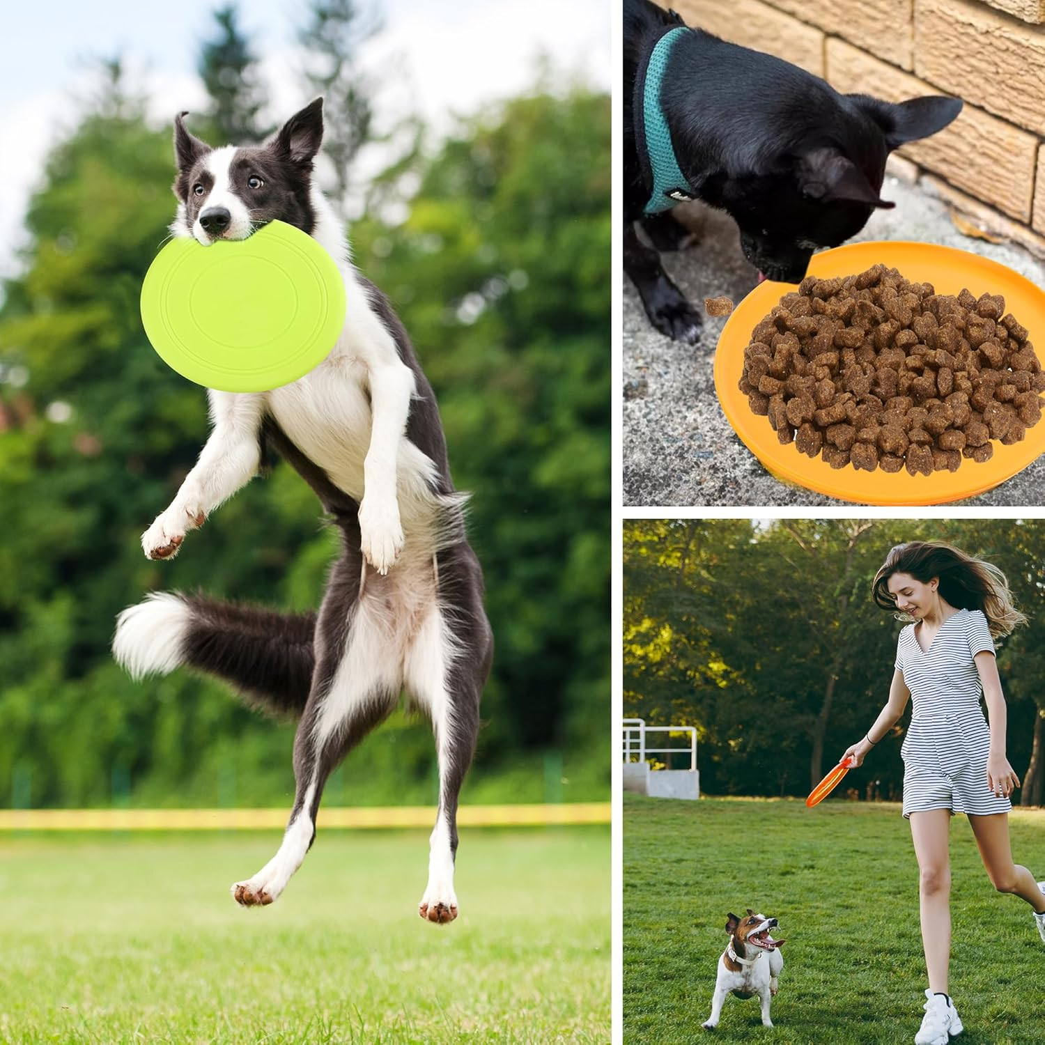 Yiliya Pack of 7 Dog Frisbees, 18 Cm Dog Disc, Dog Toy Frisbee, Rubber Frisbee, Dog Frisbee, Dog Training Dog Toy Set for Dog Training, Throwing, Catch and Play (7 Colours) image number 4
