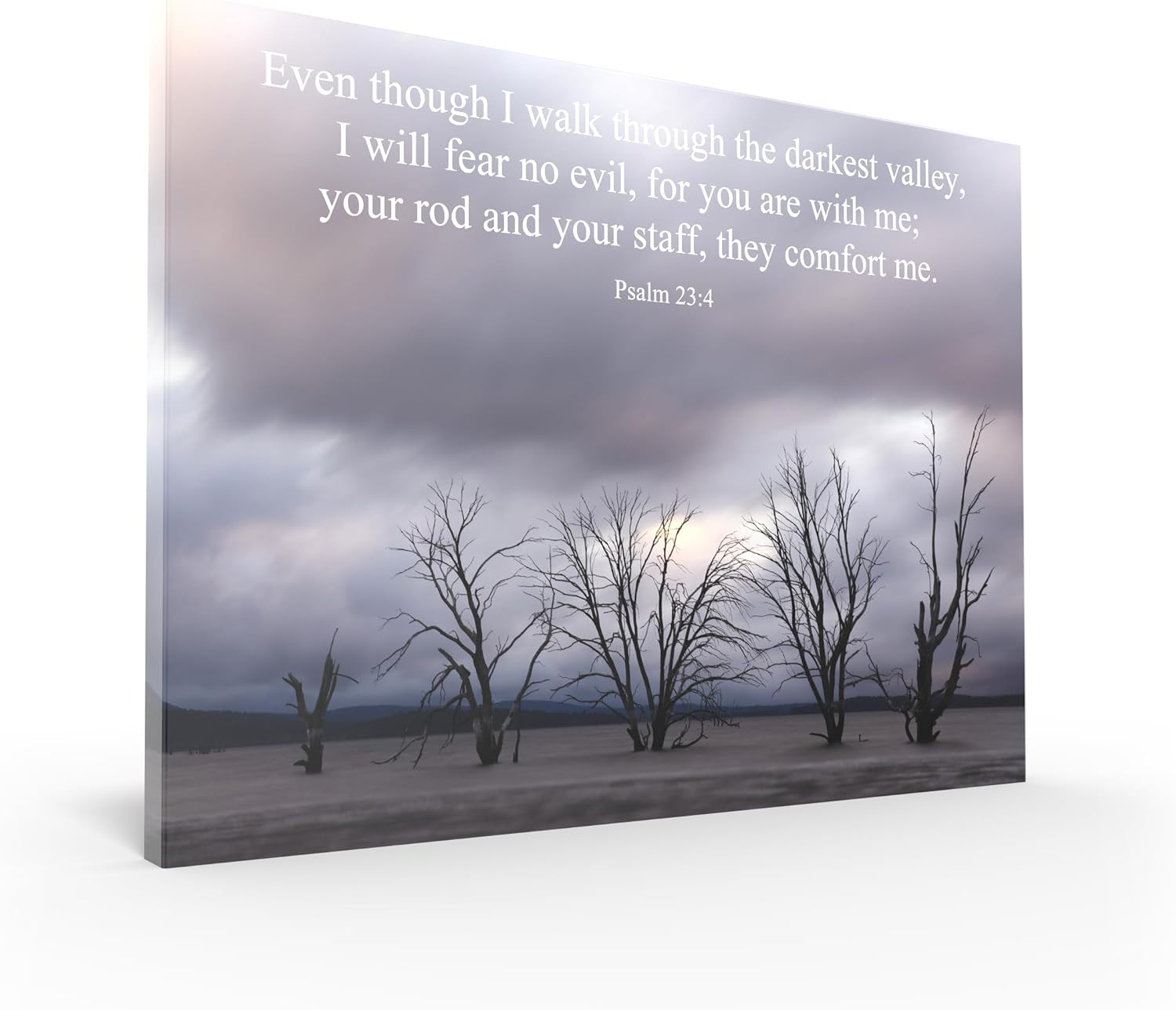 Tomuu Erissa Bible Verses Wall Decor 30X40 Cm - Canvas Scripture Wall Art with Christian Gift Tree on Ice Lake - Psalm 23:4 - Inspirational Bible Verse for Home, Church, Office Decor