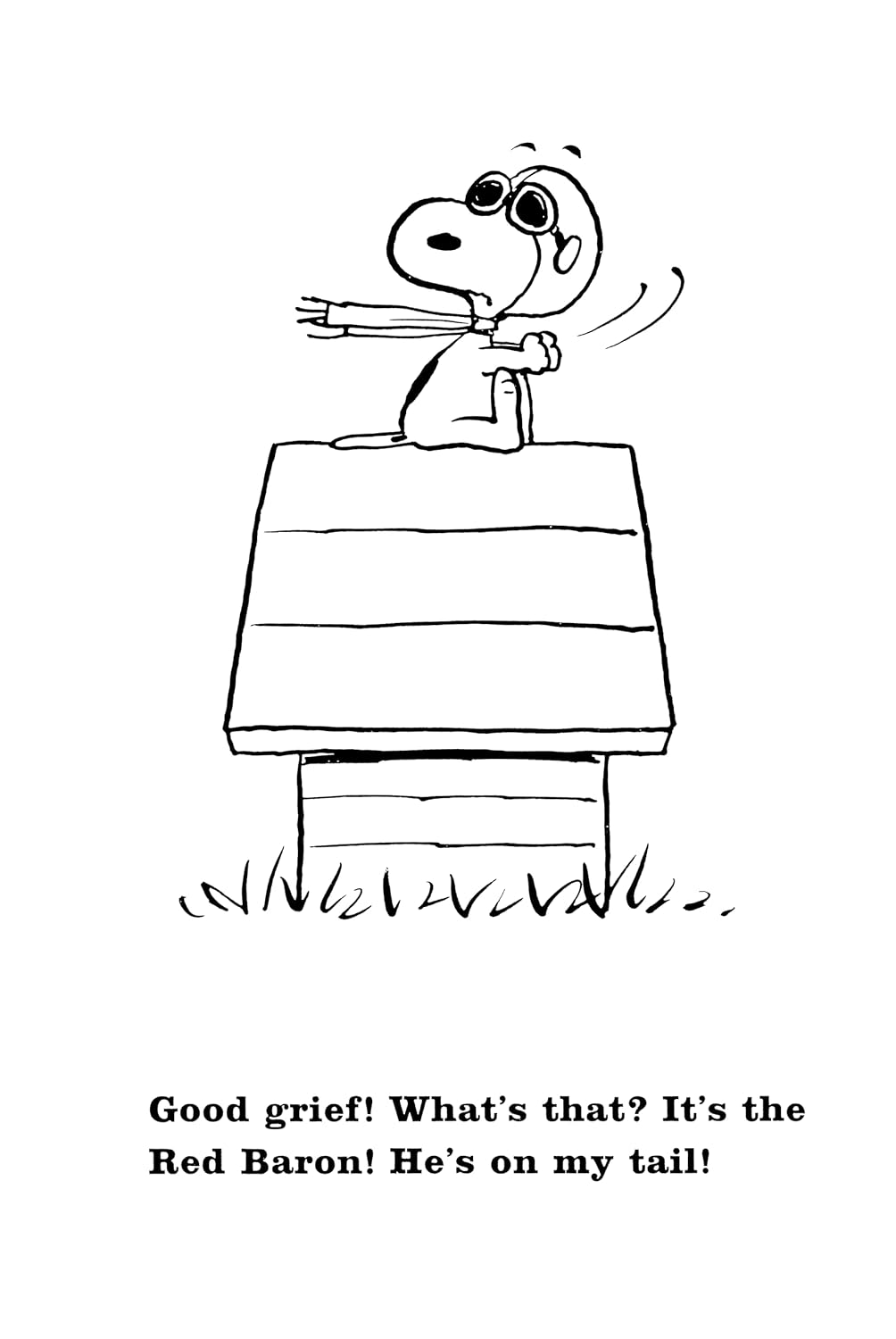 Peanuts: Snoopy and the Red Baron image number 4
