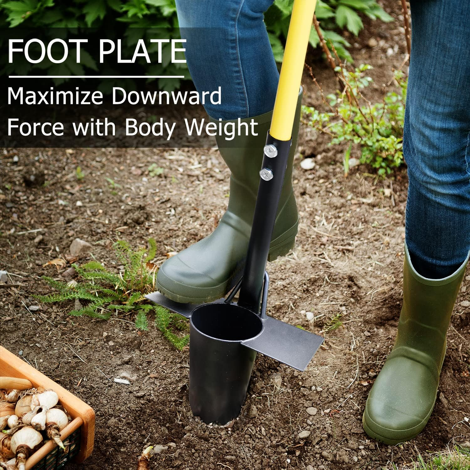 Jardineer 3PCS Bulb Planter Tool Garden Set, Bulb Planter Tool Long Handle and Small Bulb Planting Tool, Ideal Bulb Transplanter Set for Tulips, Daffodils, Lily and Other Flower Bulbs