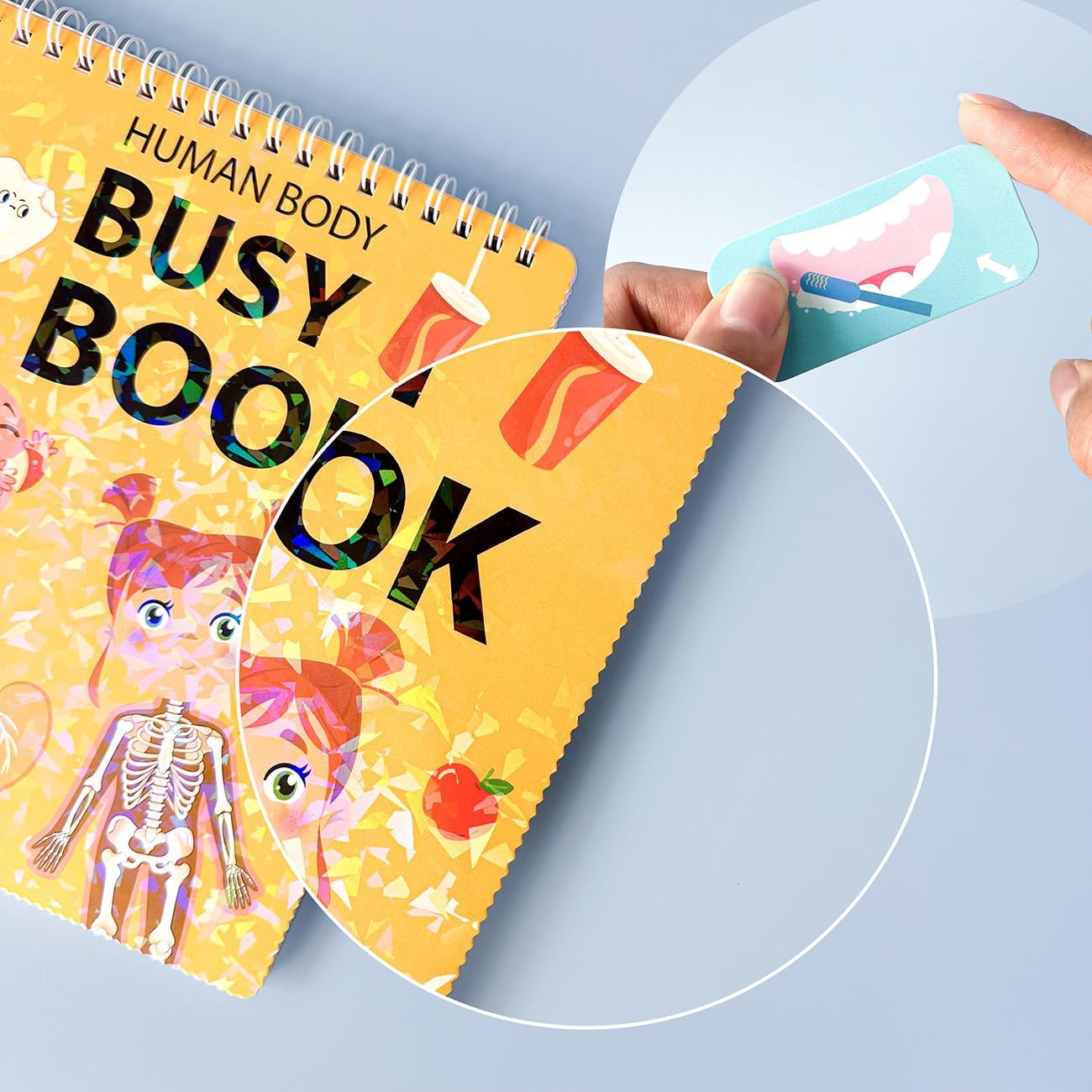 AGOGOLIFE Human Body Busy Book for Kids &ndash; 15 Interactive Learning Activities with Organs, Brain, Teeth & Skeleton &ndash; Montessori Anatomy Educational Toy for Ages 3-6 image number 5