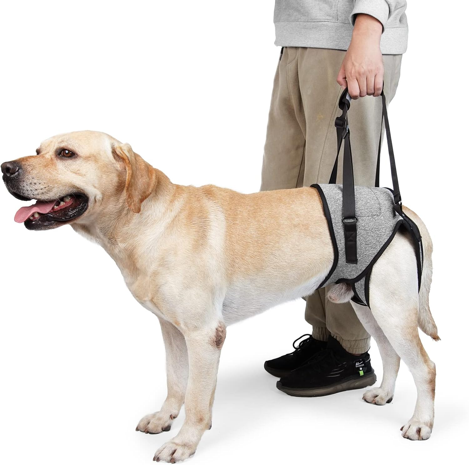 UOSIA Dog Sling for Back Legs Hip Support Harness Adjustable Padded Breathable Straps Pet Support & Recovery Sling to Help Lift Rear for Old Dog Walking
