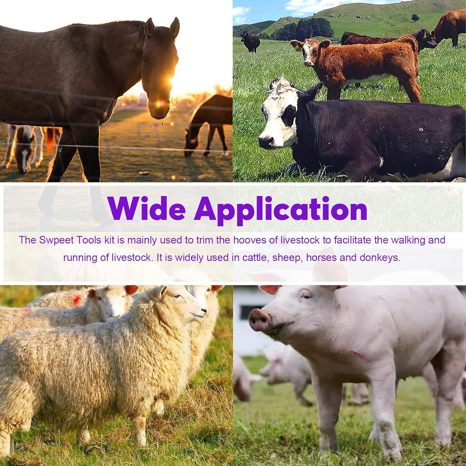 Swpeet 5Pcs Professional Farrier Tools Value Supplies Kit with Roll Pack, Mini 8 Inch Rasp Hoof File, 8 Inch Hoof Nipper, Horseshoe Brush, Horses Hoof Trimmers Shears Tools, Hoof Cutter for Horse image number 4