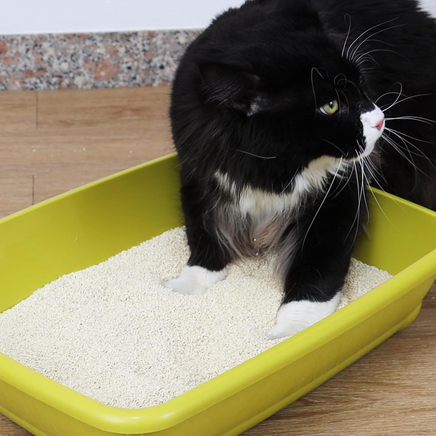 Croci Tofu Clean 10L Te Verde &ndash; Clumping Cat Litter Box Scented with Green Fragrance, Biodegradable in the Toilet, 100% Vegetable, Long-Lasting Odour Proof Sand